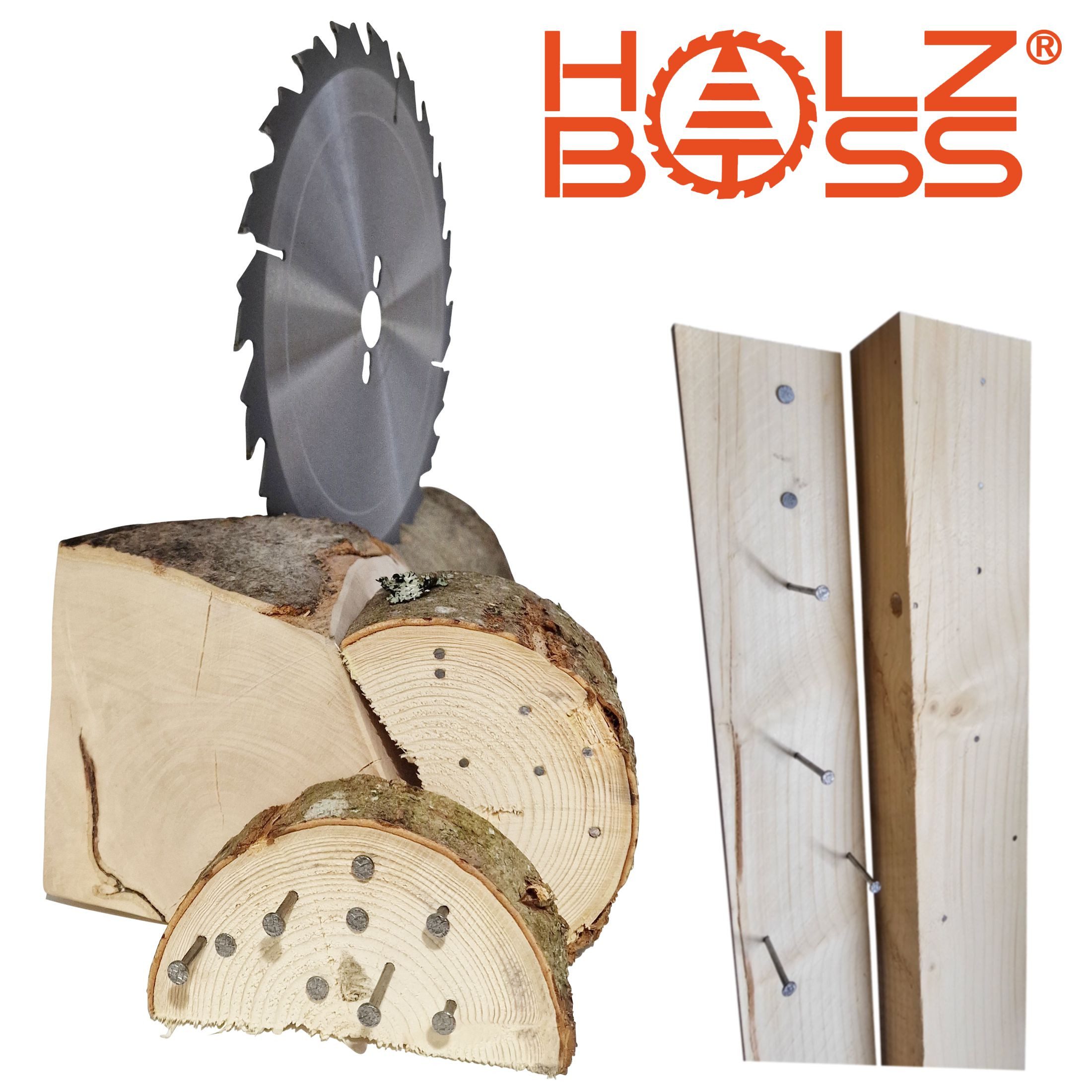 Holzboss® Sägeblatt NEUHEIT " Nagelfest mit Spanabweiser " HM-Sägeblatt FF-S 300x30mmØ – Bild 3 von 5