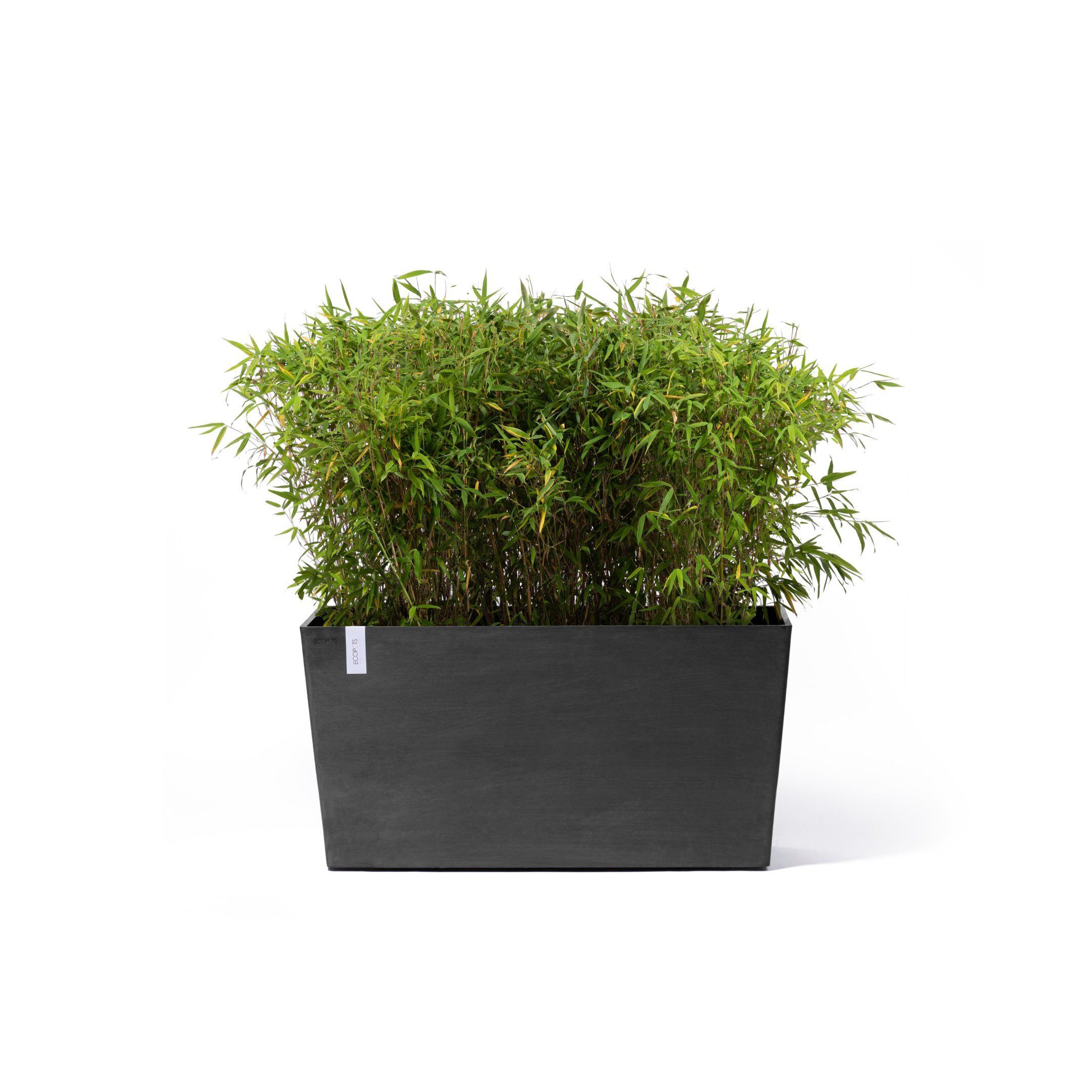 ECOPOTS Blumentopf Paris, cm BxTxH: 100x40x50