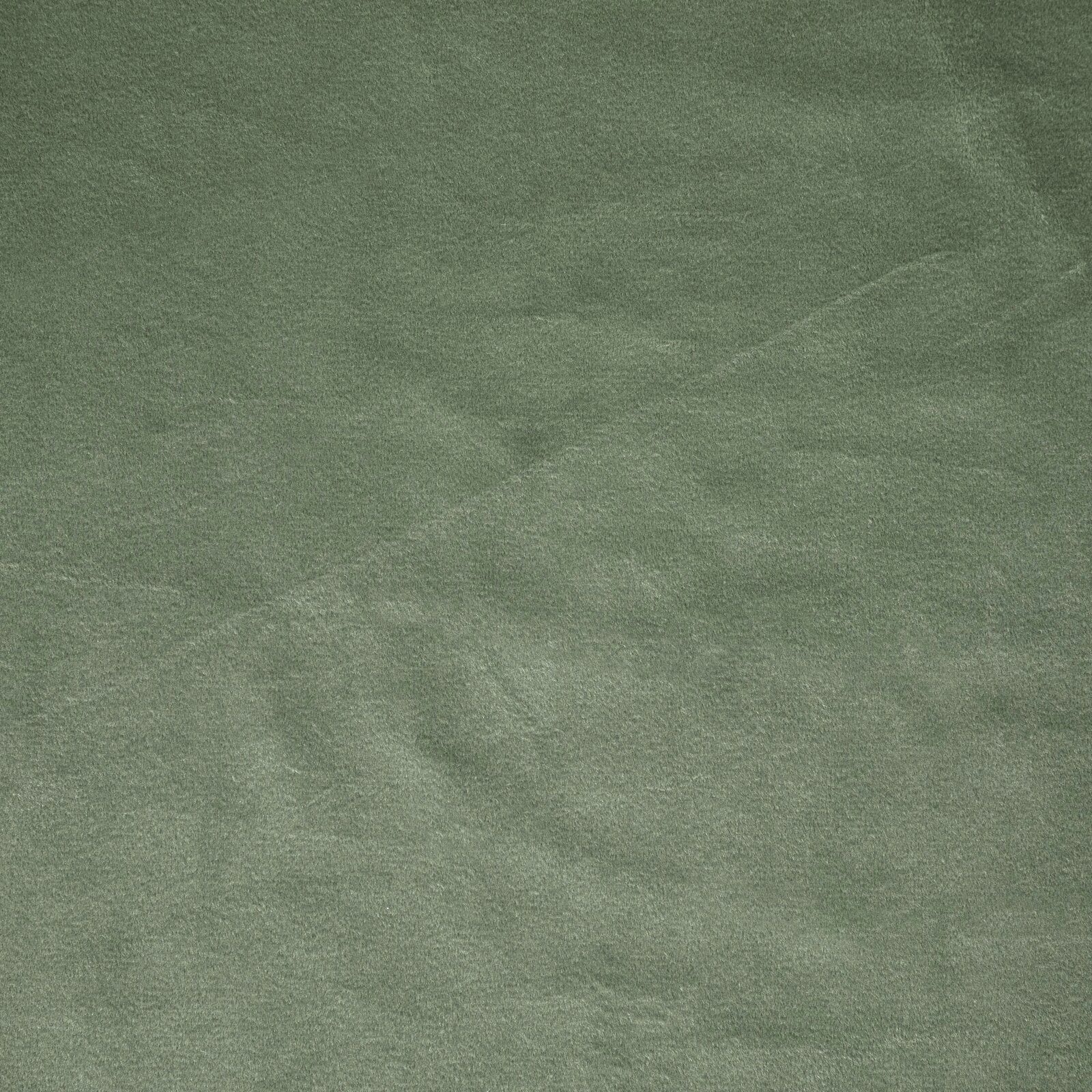 Design91 Vorhang Samtvorhänge 140x250 cm (1 St), Ösen, blickdicht, Samt, Wohnzimmer – Bild 4 von 5