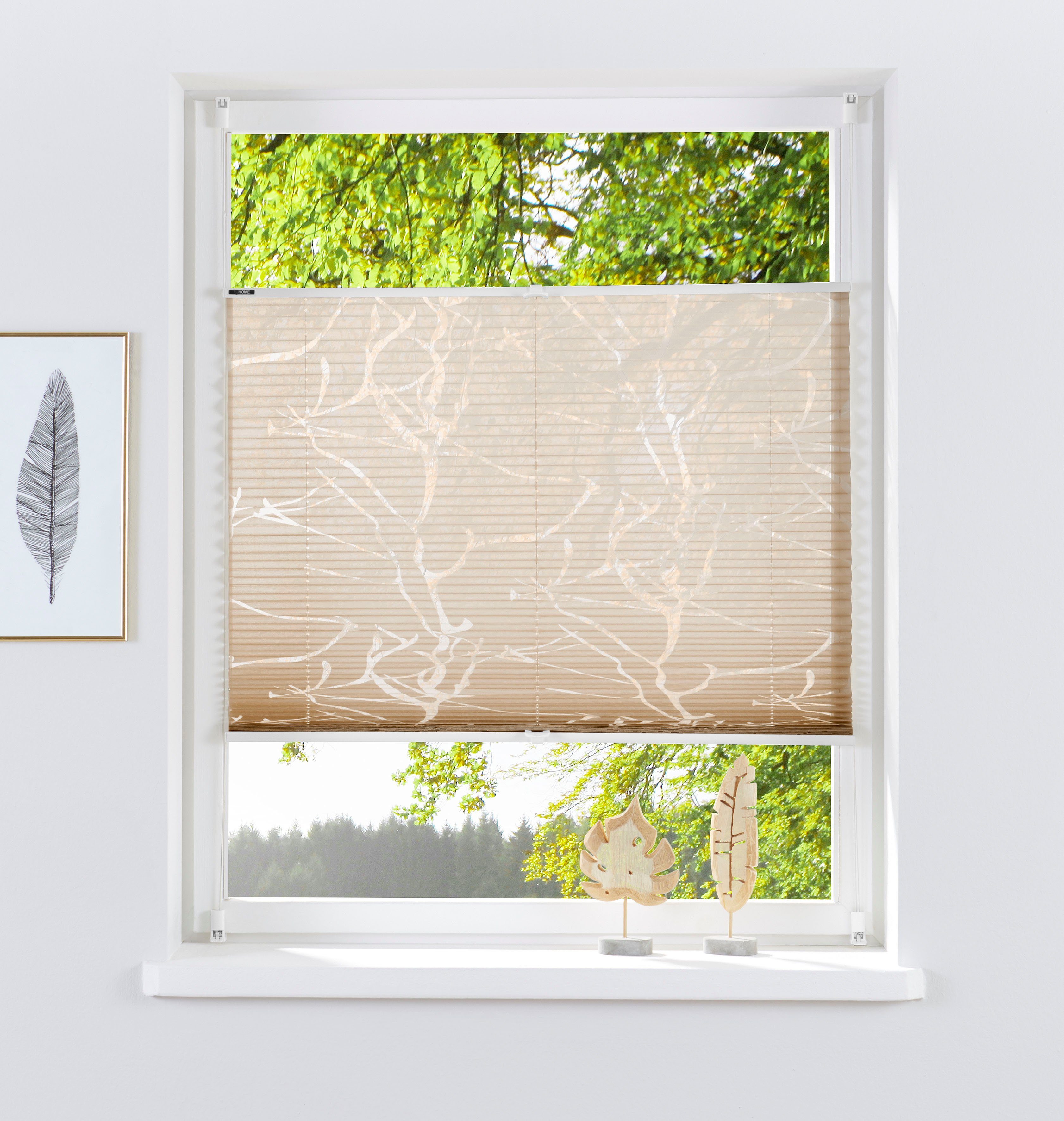 my home Plissee Anna, Lichtschutz, ohne Bohren, verspannt, Klemmfix, Ästemo günstig online kaufen
