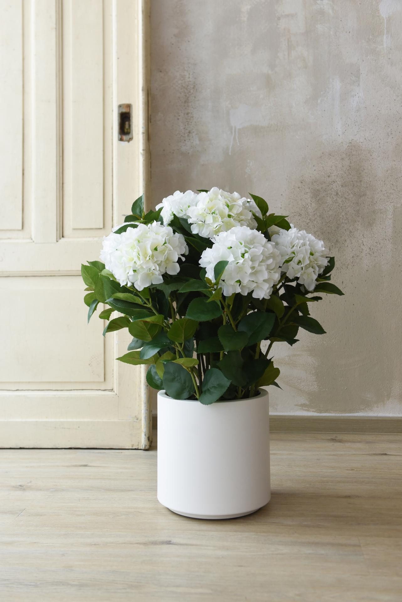 Kunstpflanze Kunststoff HYDRANGEA Rund - Weiß, günstig online kaufen
