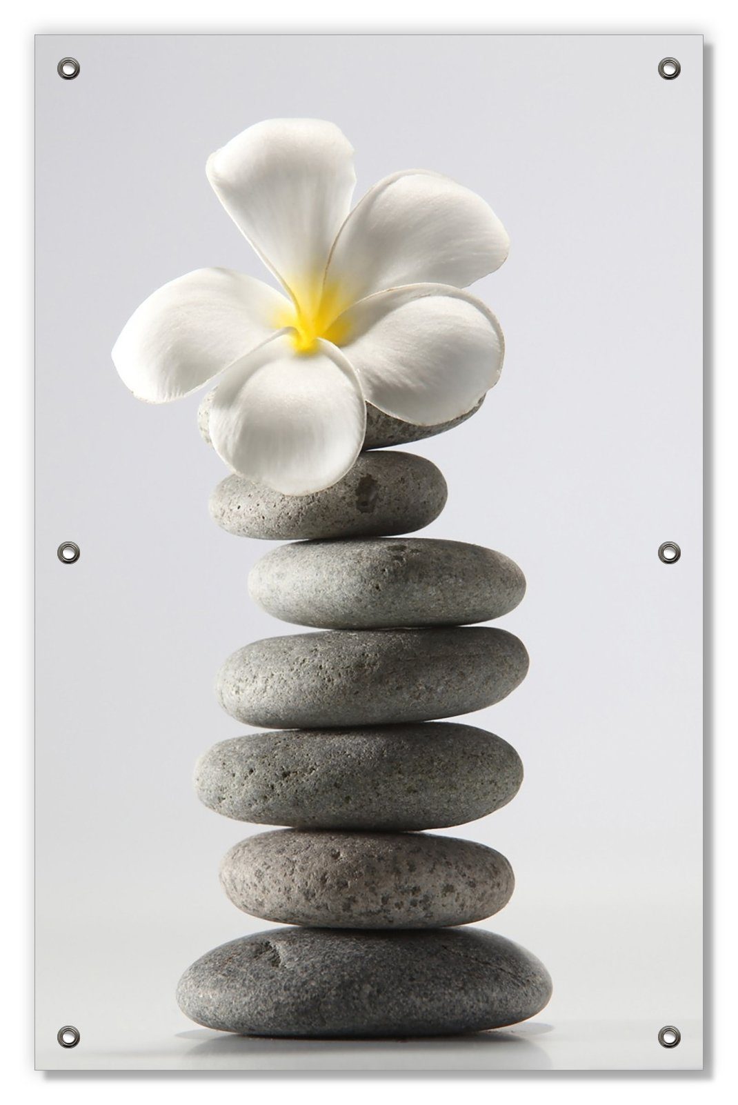 Sonnenschutz Blume auf gestapelten Steinen, Wallario, blickdicht, mit Saugnäpfen, wiederablösbar und wiederverwendbar