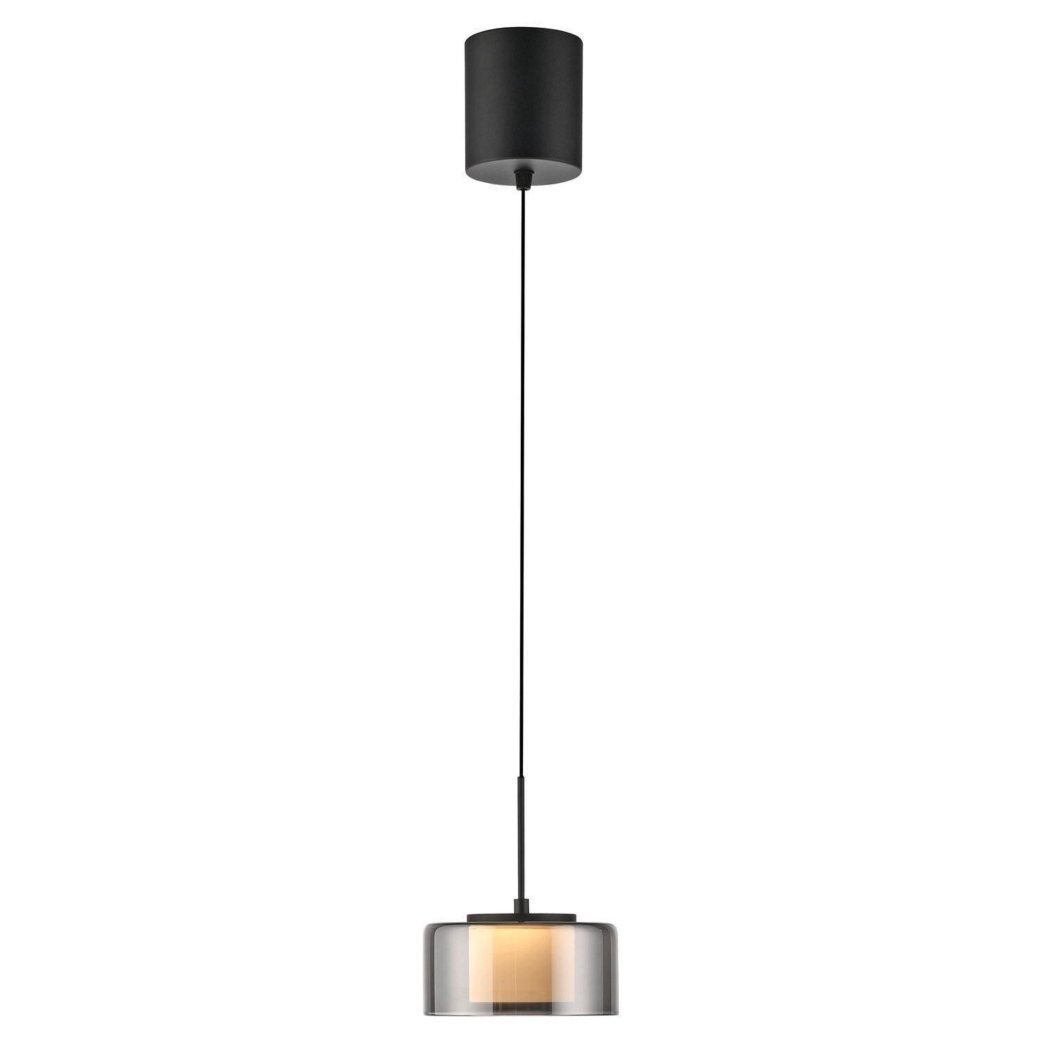 Paul Neuhaus LED Pendelleuchte RIKA, 1-flammig, Rauchfarben, Schwarz, Metall, Dimmfunktion, Memoryfunktion, LED fest integriert, Extra-Warmweiß, Lampenschirm aus Glas, Höhenverstellbar Ø 15 x H 180 cm
