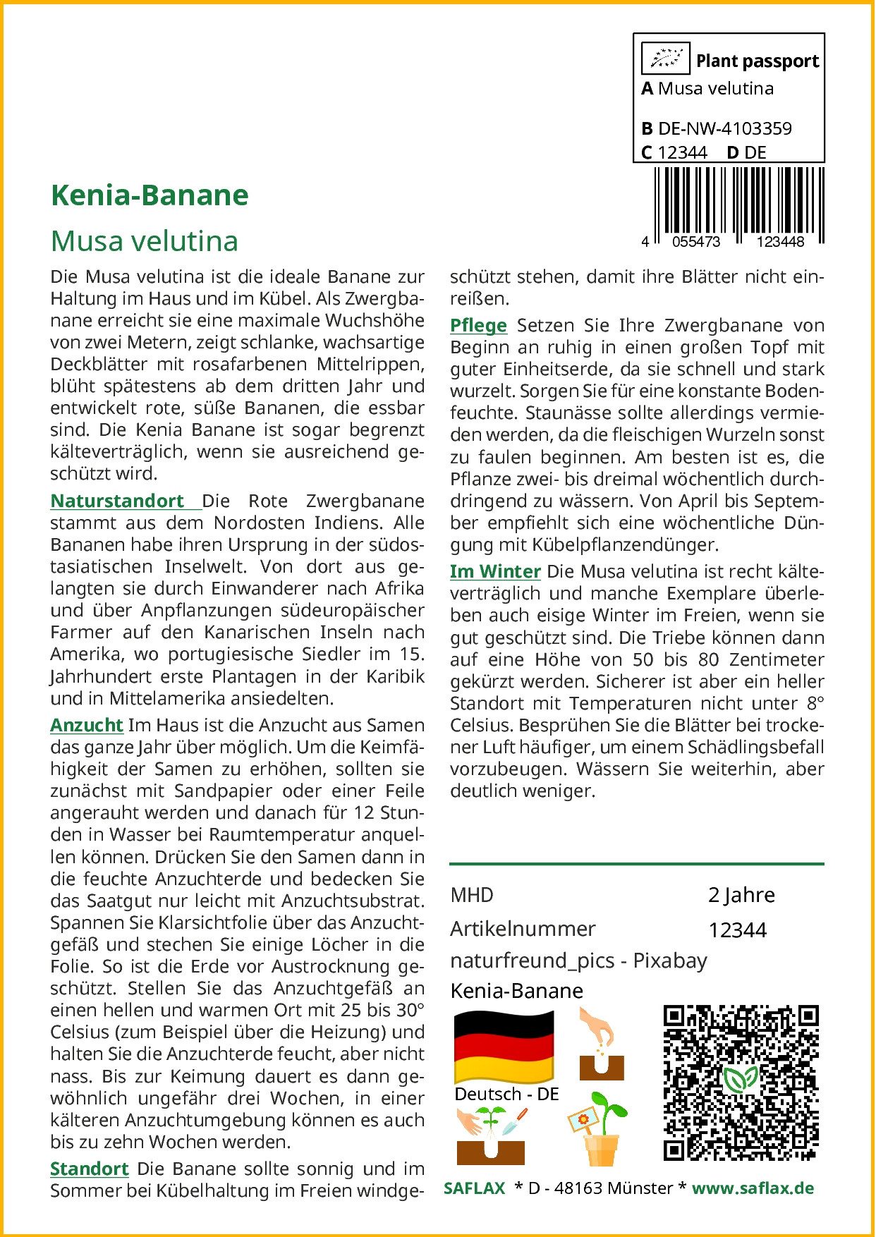 SAFLAX Blumensamen SAFLAX - Samen - Kenia-Banane – Bild 2 von 5