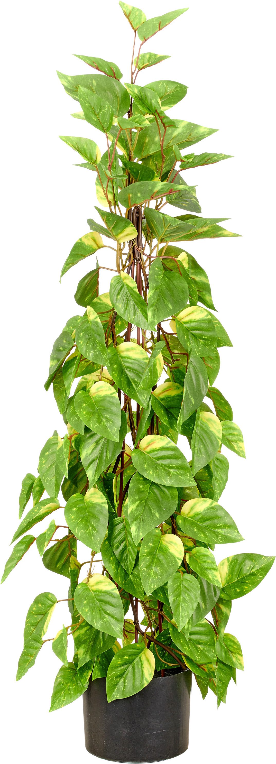 Kunstpflanze Epipremnum, Creativ green, Höhe 95 cm, in Pyramidenform