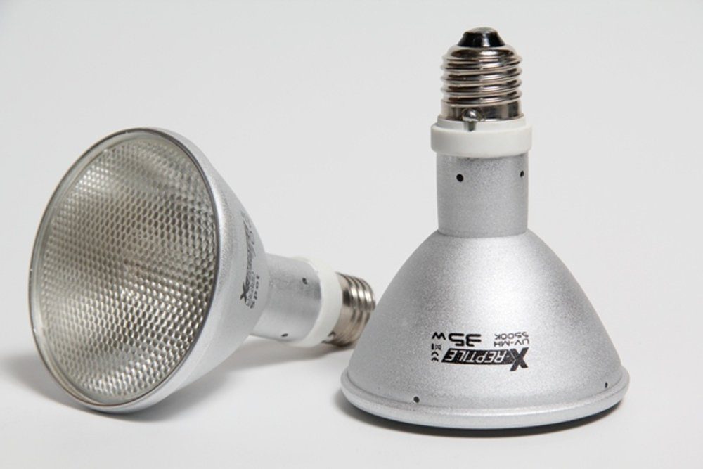 Terrarium X-Reptile HID-Lampe (UV-Lampe) 50 Watt