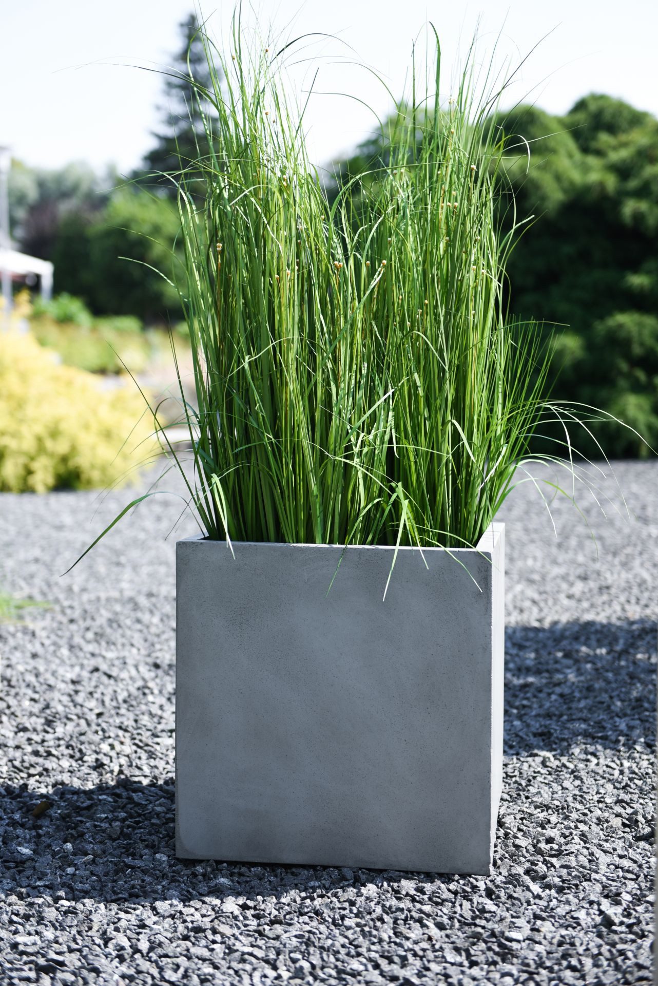 VIVANNO Pflanzkübel Fiberglas BLOCK Würfel - günstig online kaufen