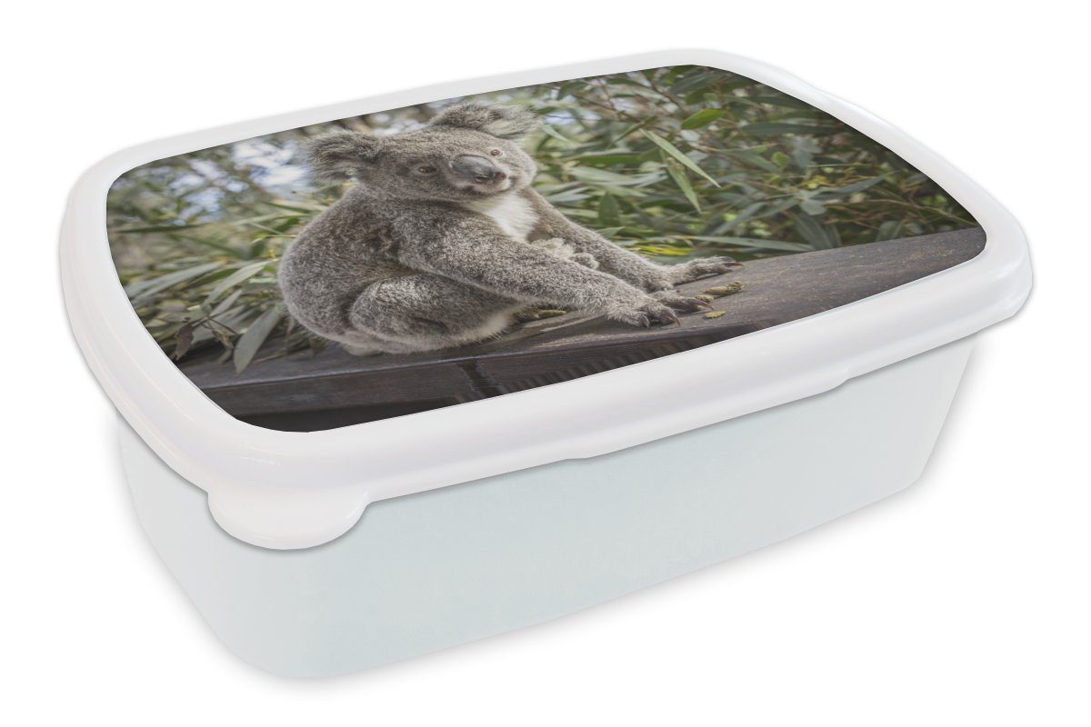 MuchoWow Lunchbox Koala - Holz - Pflanzen - Kinder - Jungen - Mädchen, Kunststoff, (2-tlg), Brotbox für Kinder und Erwachsene, Brotdose, für Jungs und Mädchen weiß