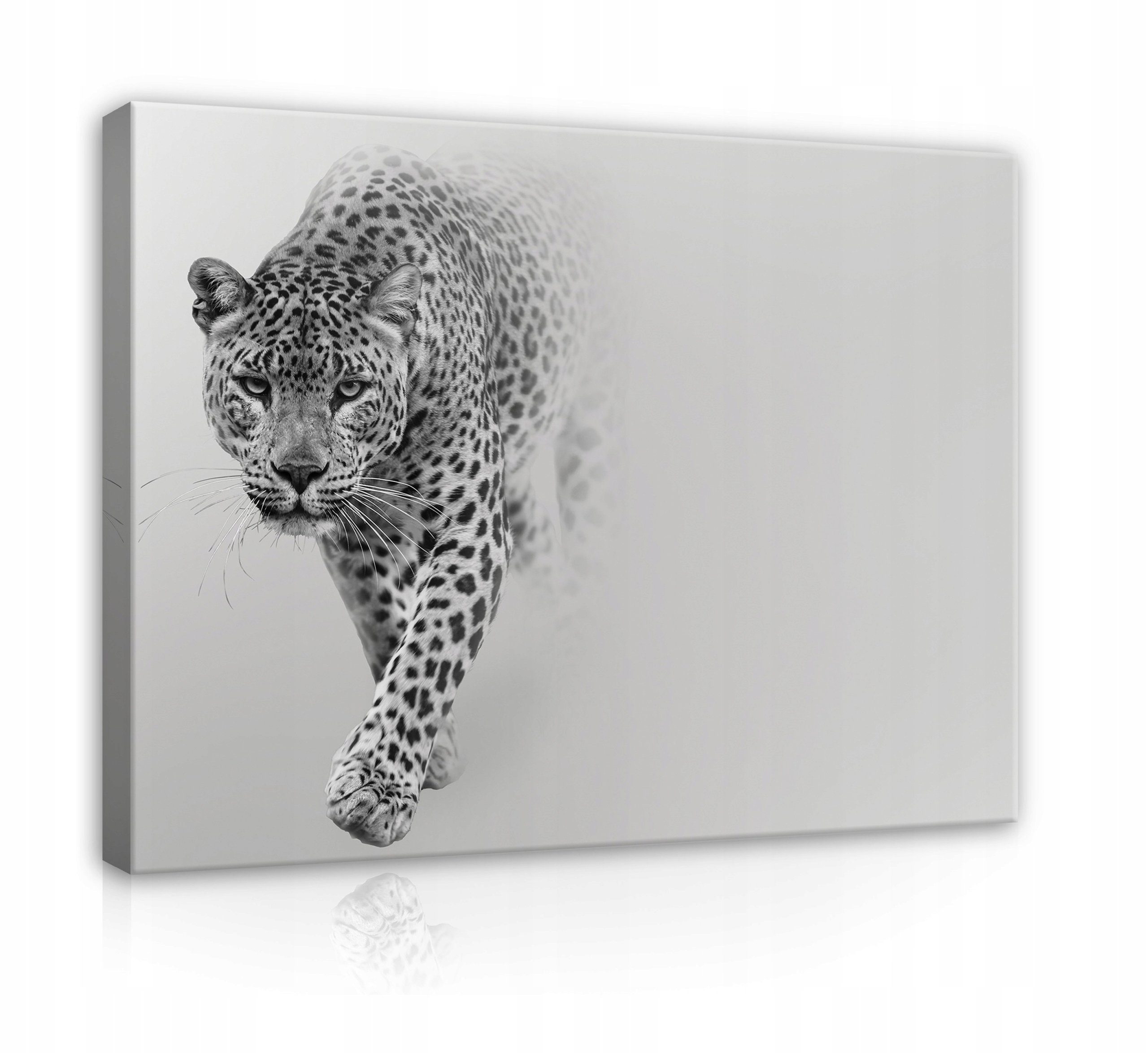 Wallarena Leinwandbild Leopard Tiere Tiger Grau Fenster Wandbild Groß XXL Wandbilder Leinwandbilder Modern Canvas Kunstdruck Bild Auf Leinwand Bilder für Wohnzimmer Schlafzimmer, (Einteilig), Aufhängefertig