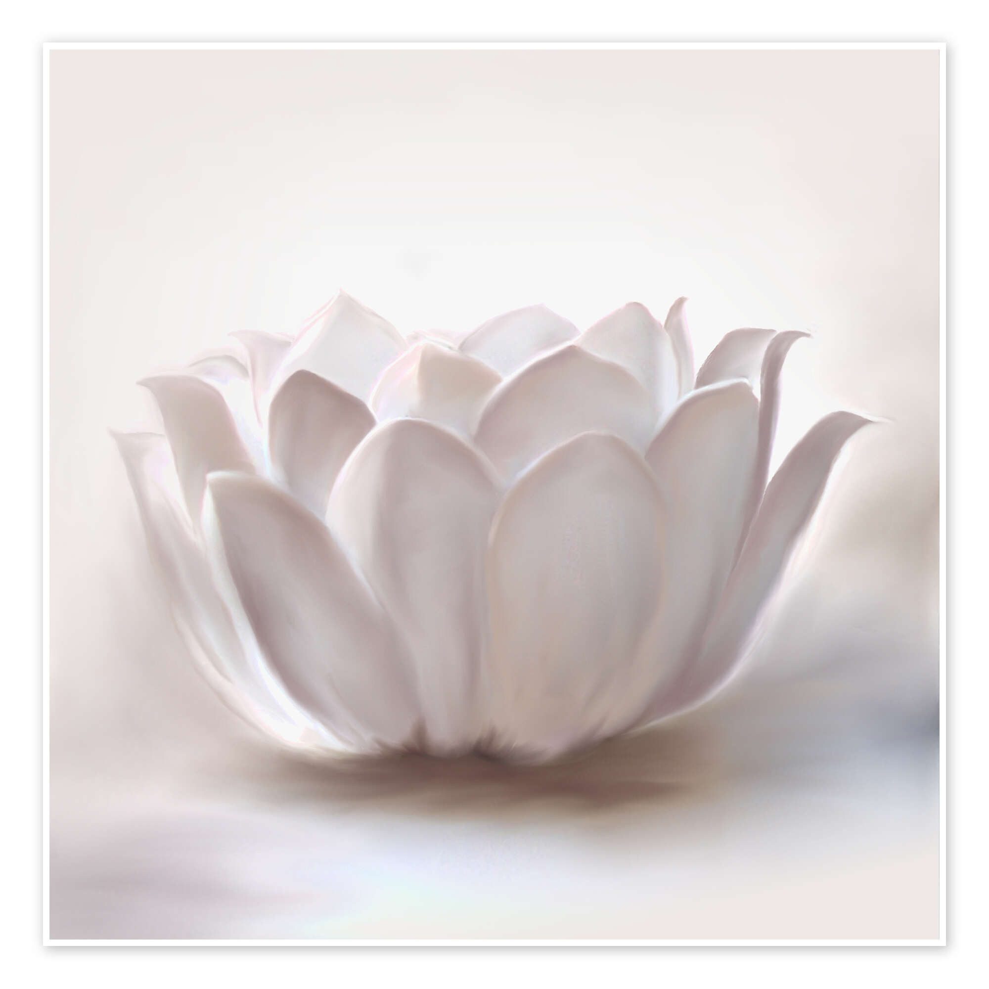 Posterlounge Wandbild Weißer Lotus, Christine Ganz, erhältlich als Poster, Leinwandbild, Wandsticker oder Acrylglasbild