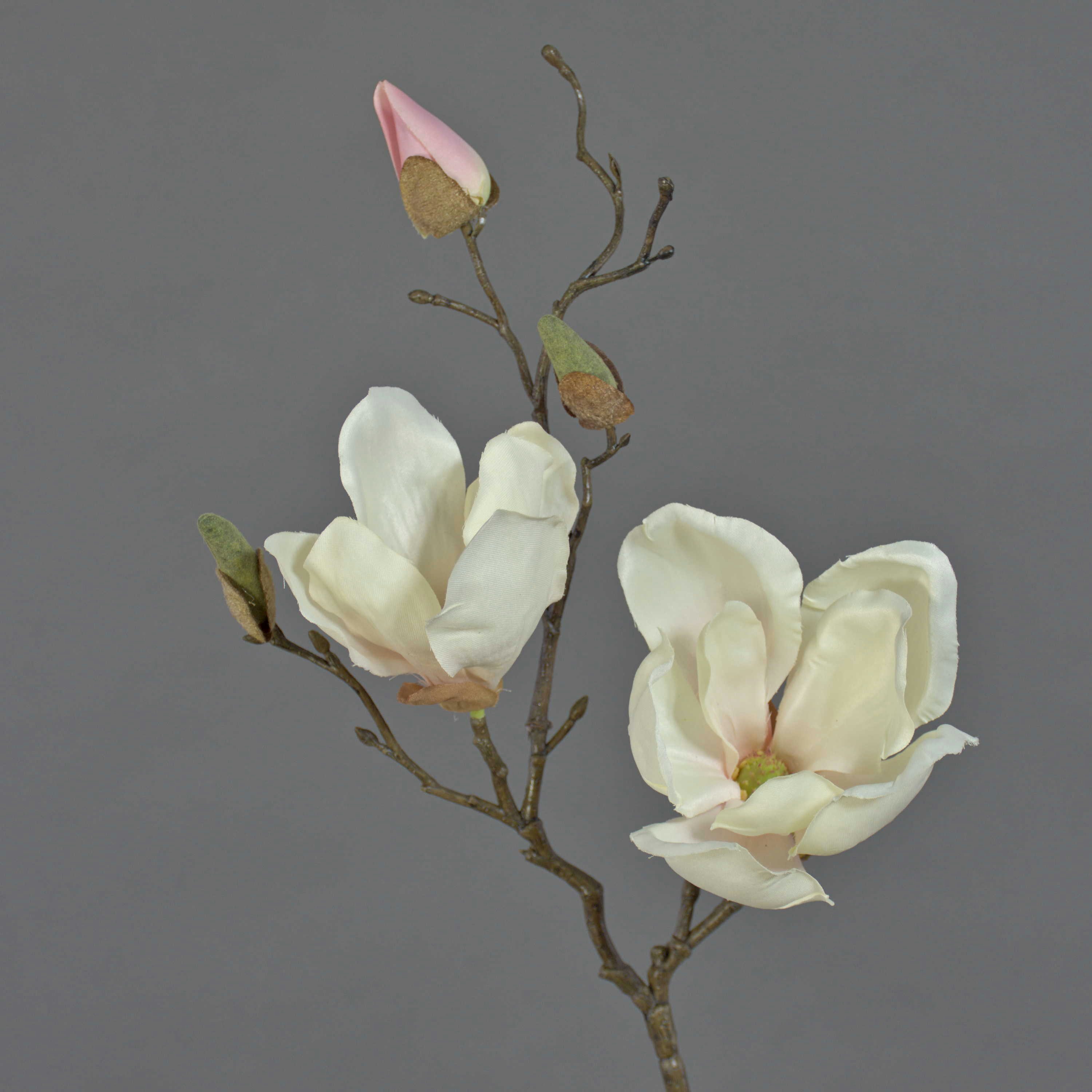 Kunstzweig Künstlicher Magnolien Zweig MALBINE, 2 Blüten, weiß - rosa, 50cm Magnolie, artplants, Höhe 50.0 cm