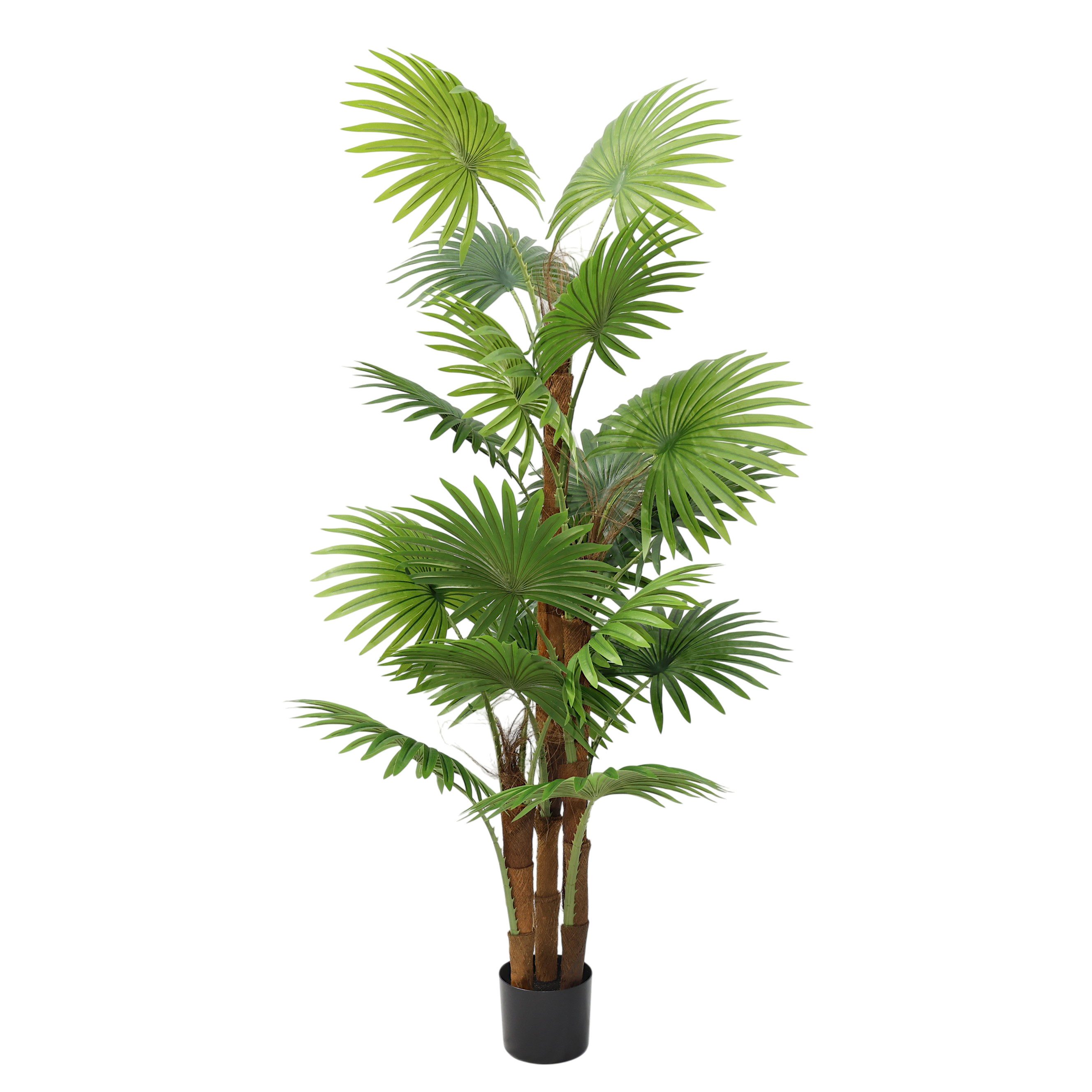 Kunstpflanze Künstliche Palme 160 cm im Topf Fächerpalme Kunstbaum Palme, A günstig online kaufen