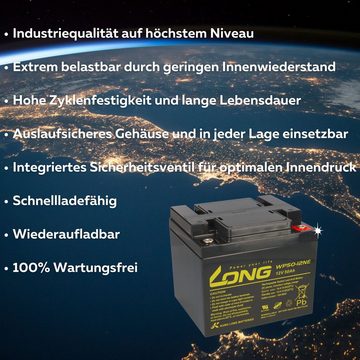 Kung Long Akku-Satz Batterie für Scooter Elektromobil Dietz Agin 2x 12V 50Ah AGM Elektromobil-Akku