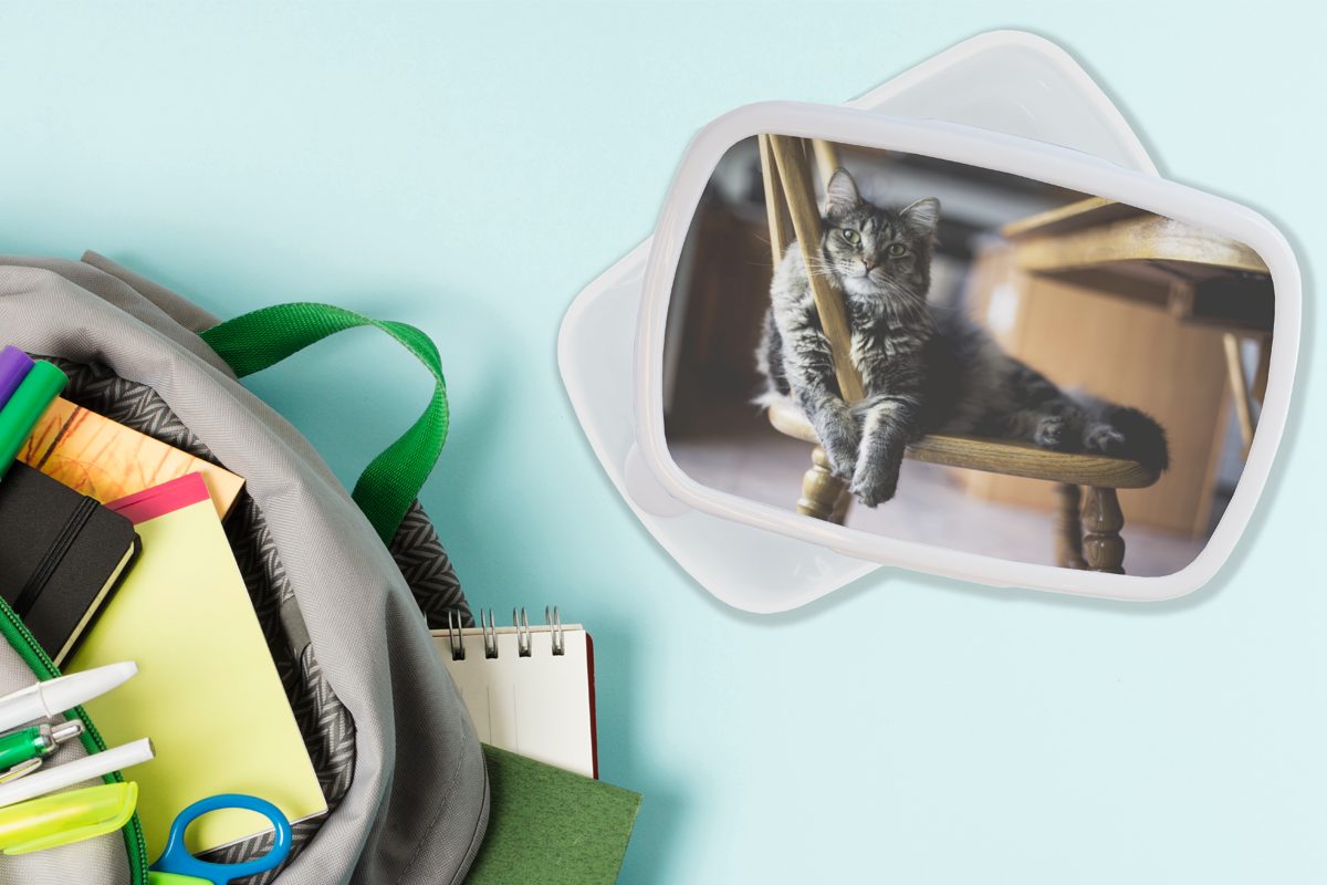 für Kinder Brotbox - Erwachsene, Stuhl Katze (2-tlg), weiß und Brotdose, und Kunststoff, - MuchoWow Mädchen Haustier, für Lunchbox Jungs