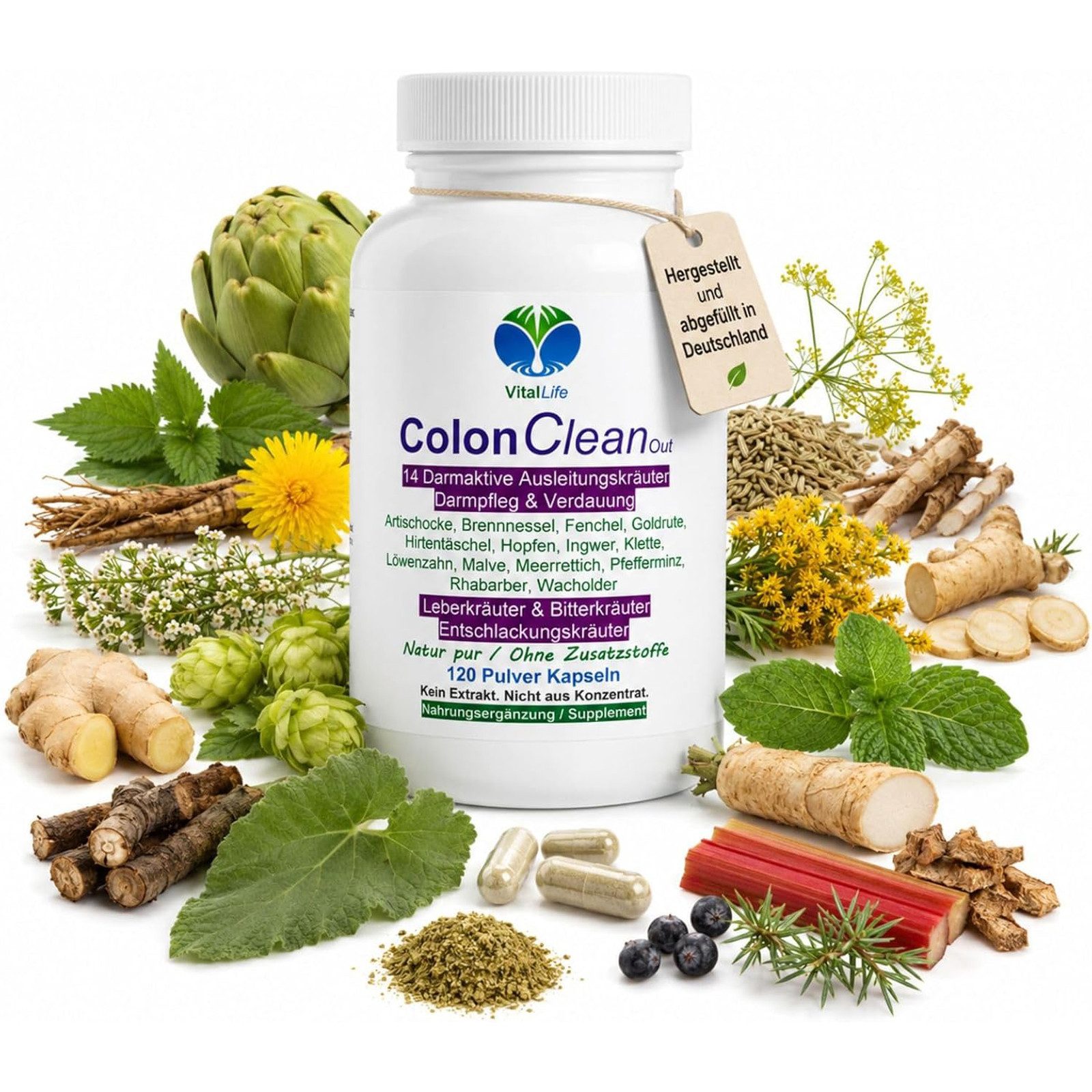 VitalLife Colon CleanOut 14 Kräuter + Bitterstoffe Komplex - Ohne Zusatzstoffe - Kapseln, 1 er Dose à 120 St., 49,8 g, Art. 26540-120