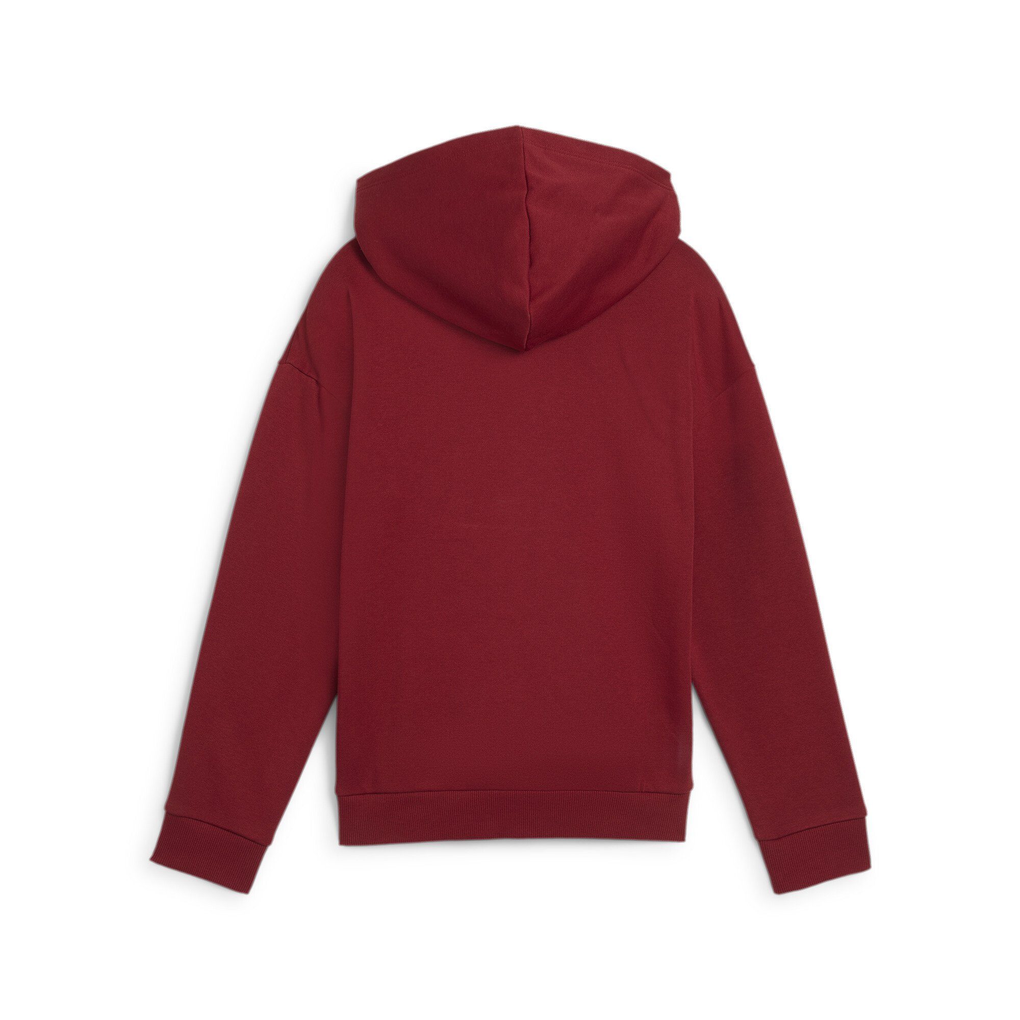 PUMA Kapuzensweatshirt ESS+ SCRIPT METALLIC HOODIE günstig online kaufen