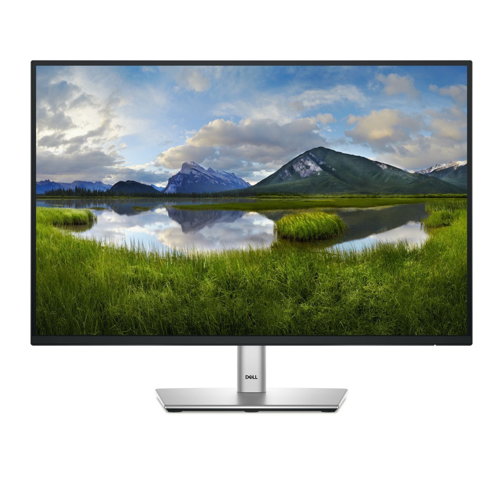 Dell P2425 61,1cm (24) WUXGA IPS Office 16:10 HDMI/DP/USB-C Pivot TFT-Monitor (1920 x 1200 px, WUXGA, 8 ms Reaktionszeit, 100 Hz, IPS, HDCP, Pivot, Höhenverstellbar)