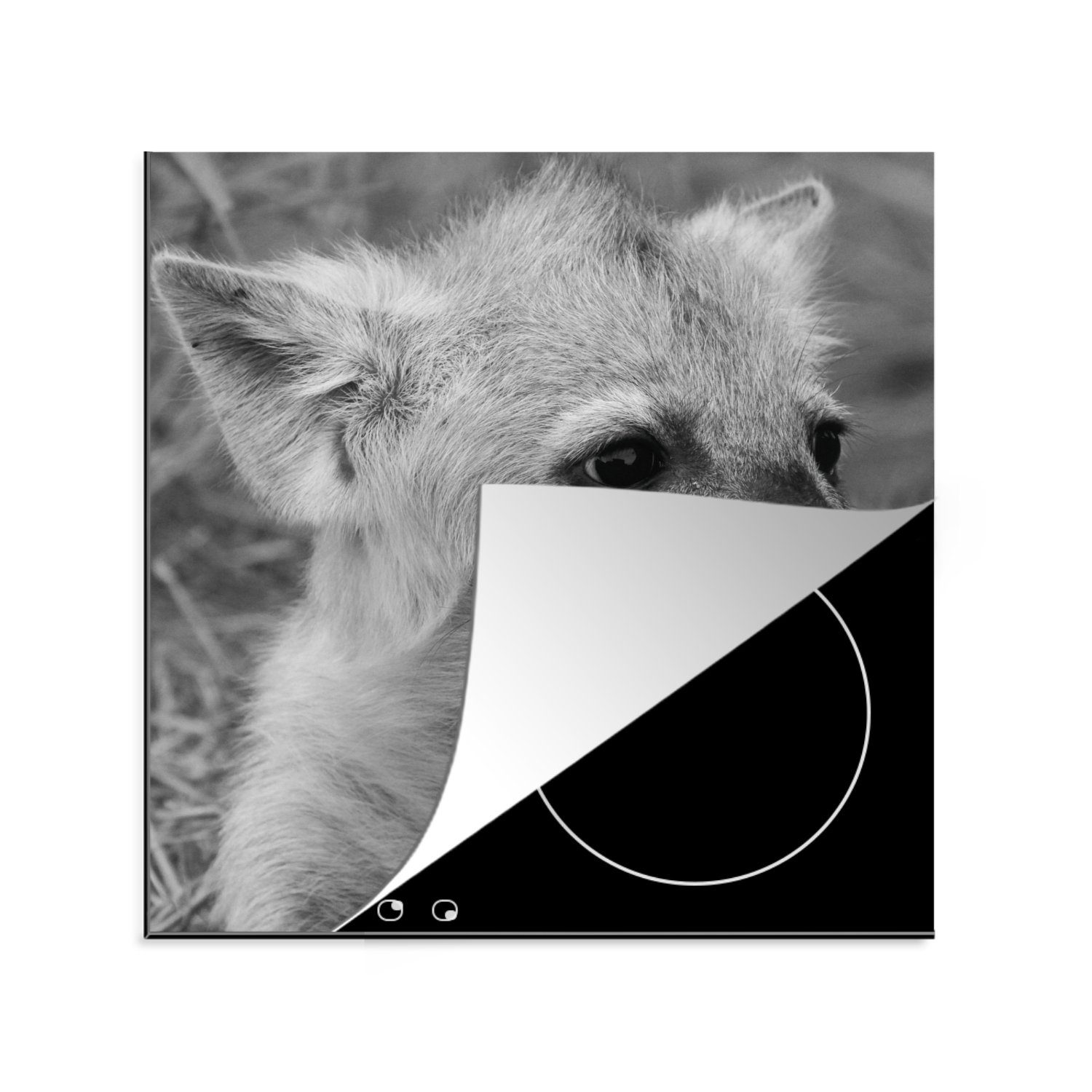 MuchoWow Herdblende-/Abdeckplatte Hyänenjunges in Schwarz und Weiß, Vinyl, (1 tlg), 78x78 cm, Ceranfeldabdeckung, Arbeitsplatte für küche