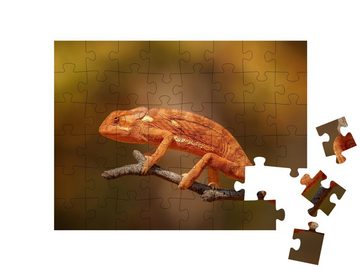 puzzleYOU Puzzle Wildes Chamäleon: Lebensraum Natur, Afrika, 48 Puzzleteile, puzzleYOU-Kollektionen Chamäleons, Tiere in Dschungel & Regenwald