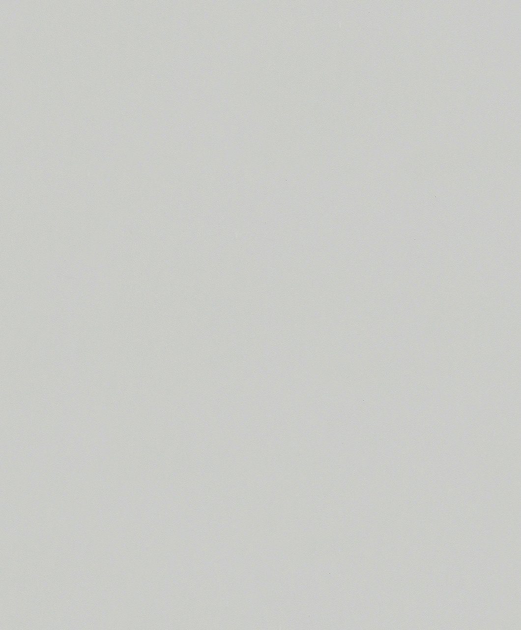 10,05 x WOHNEN-Kollektion Vliestapete, grau Meter 0,53 SCHÖNER