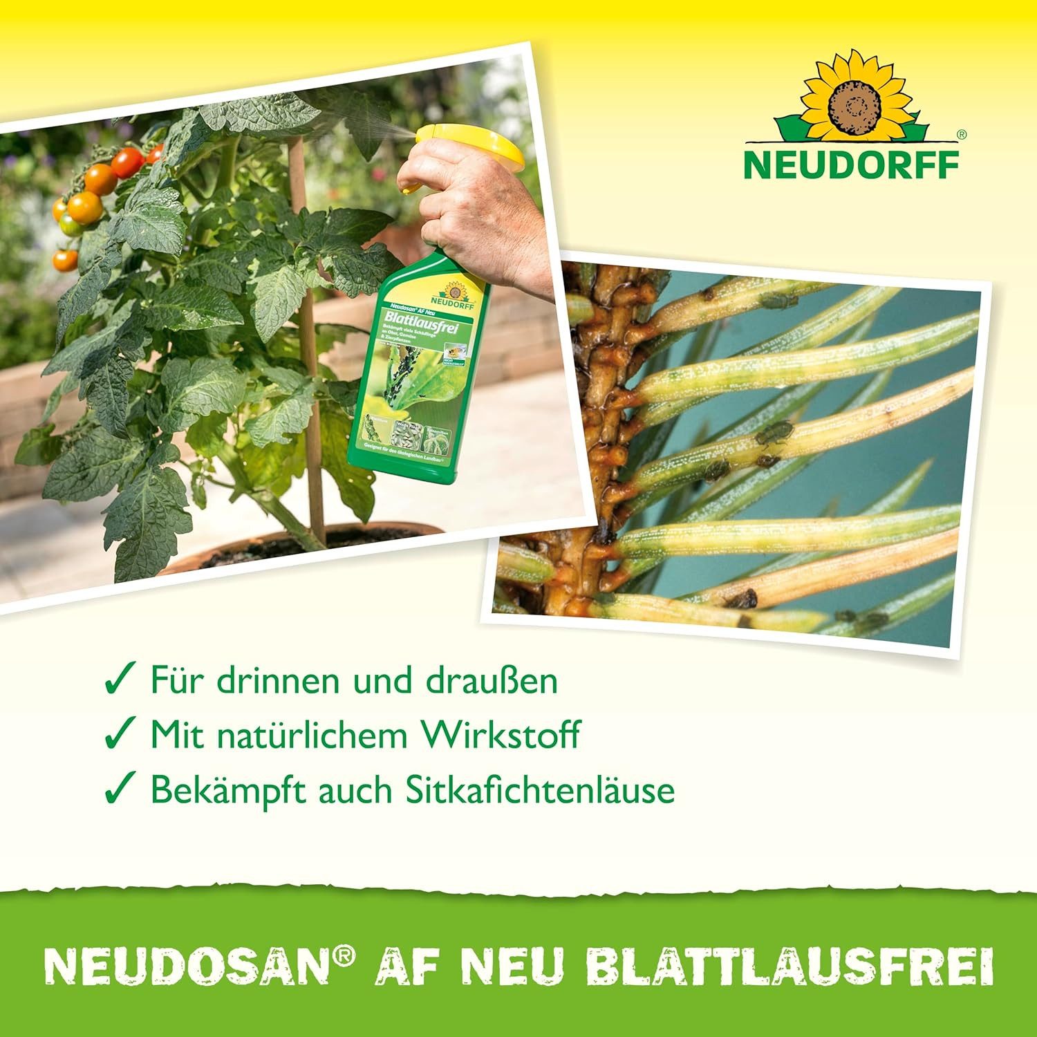 Neudorff Insektenspray Neudosan AF Neu Blattlausfrei 500 ml, 500 ml, Anwendungsfertiges Spray zur effektiven Bekämpfung