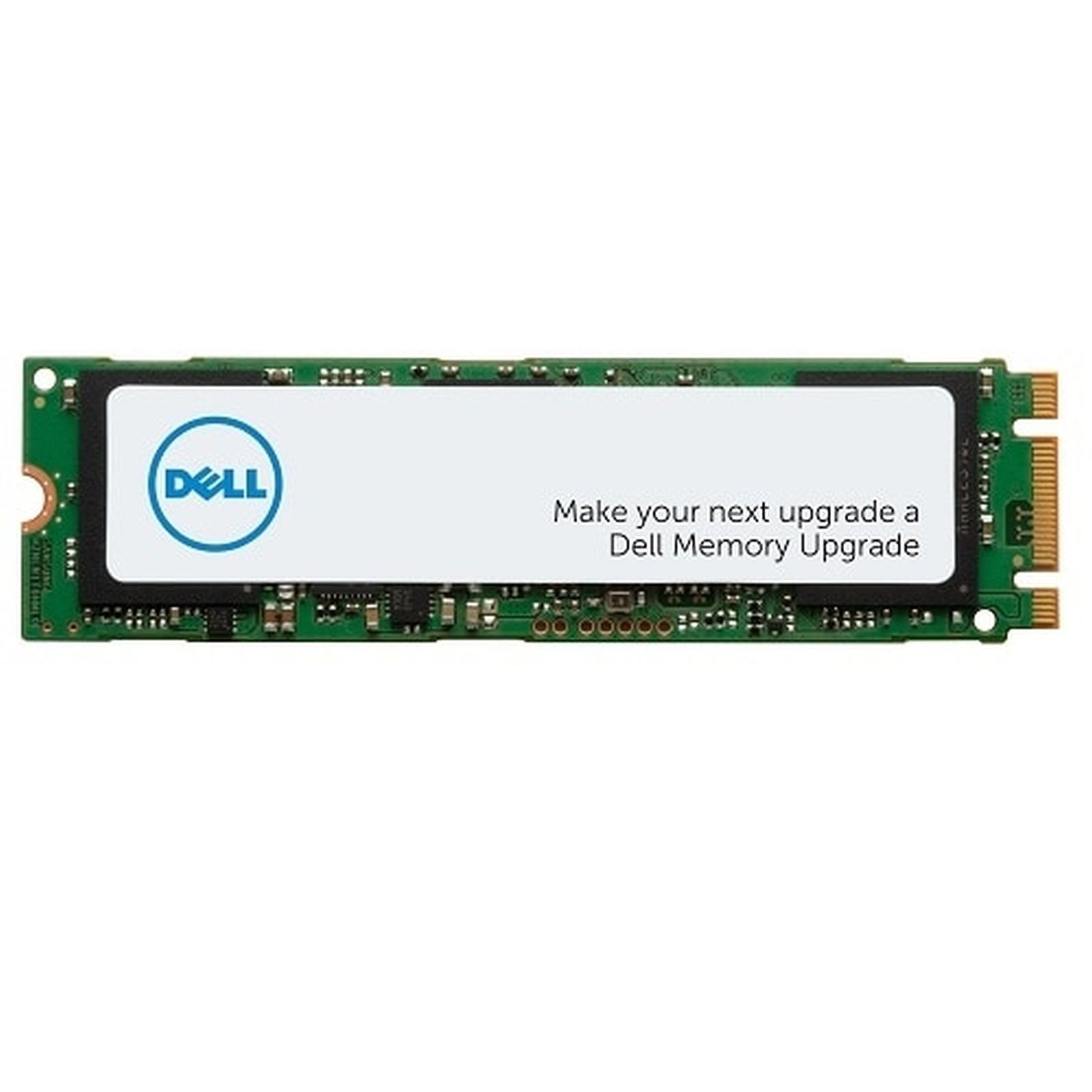Dell SSD - 256 GB - intern - M.2 2280 - PCIe Gaming-Festplatte