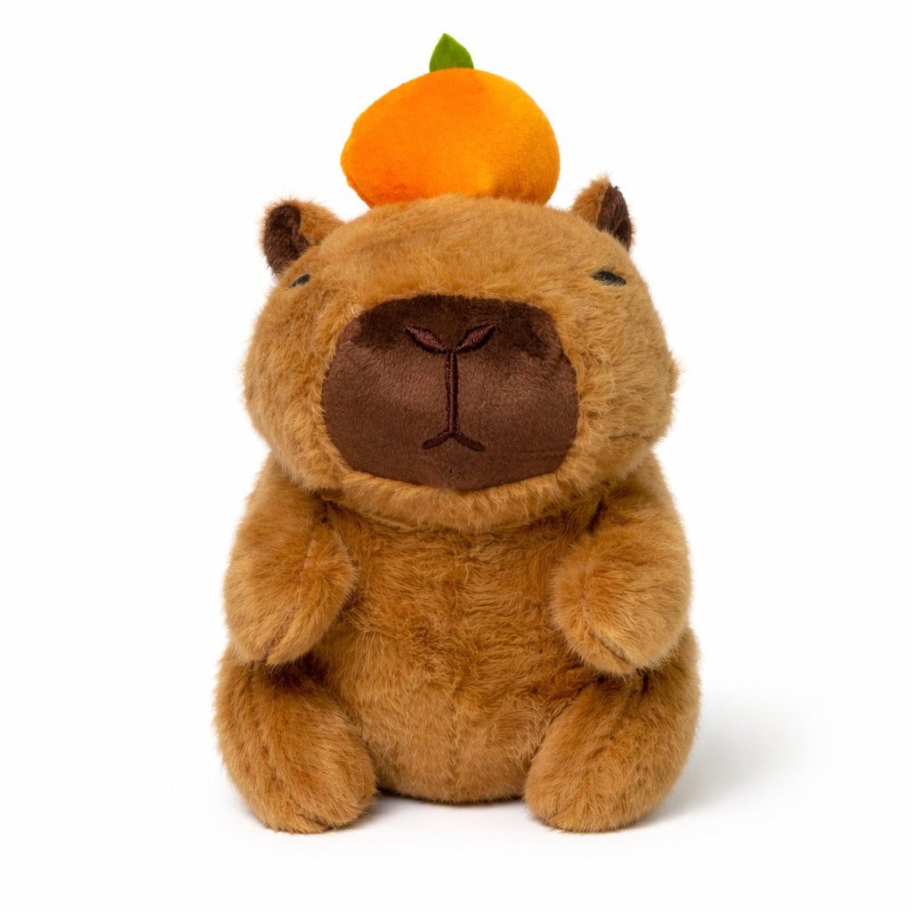 soma Kuscheltier Capybara Kuscheltier 20 cm Plüschtier niedliches Stofftier Tierfigur (Set, 1-St., Geschenk-Set), Mit Herz, Schwimmreifen oder Orange – drei niedliche Varianten