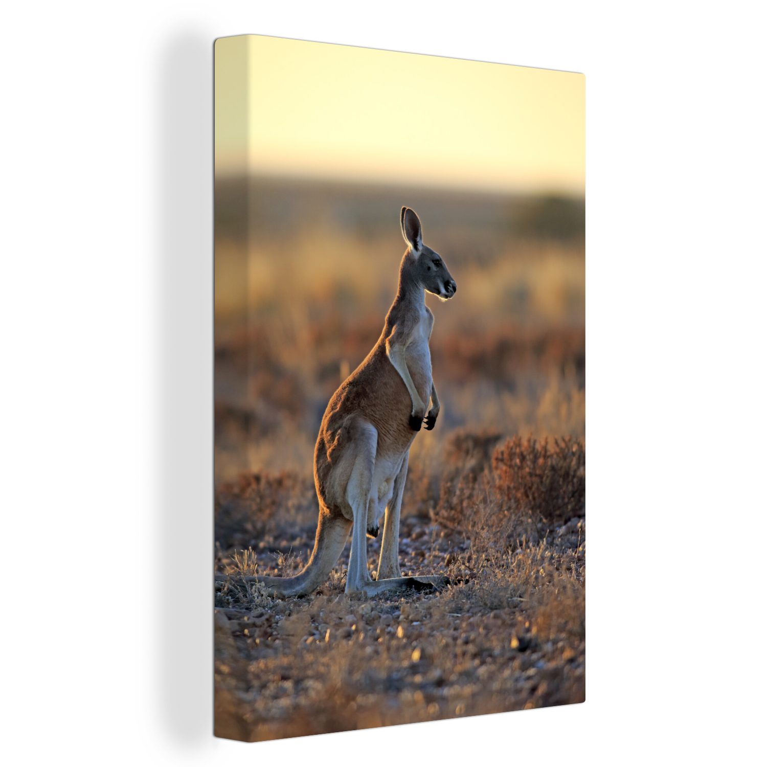 OneMillionCanvasses® Leinwandbild Känguru - Himmel - Landschaft, (1 St), Leinwandbild fertig bespannt inkl. Zackenaufhänger, Gemälde, 20x30 cm
