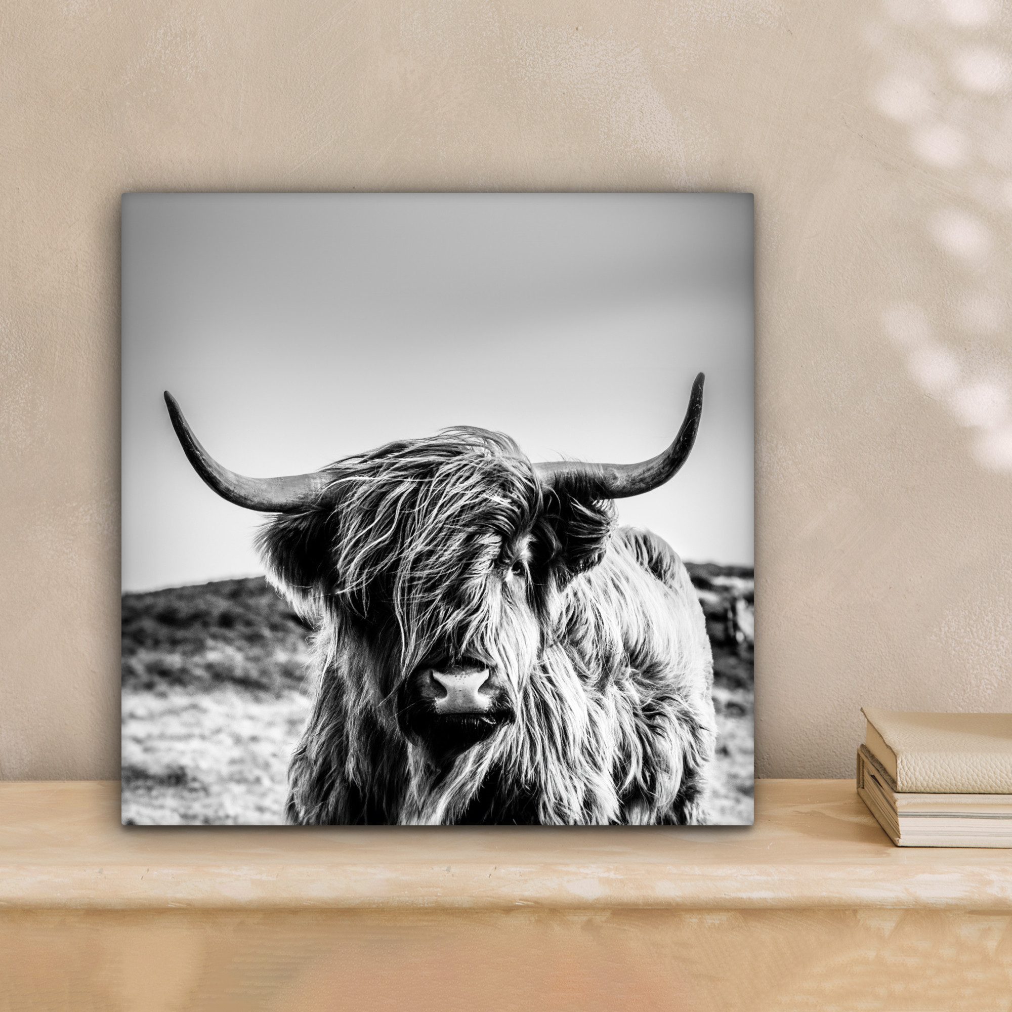 OneMillionCanvasses® Leinwandbild Kuh - Schottischer Hochländer - Schwarz - günstig online kaufen