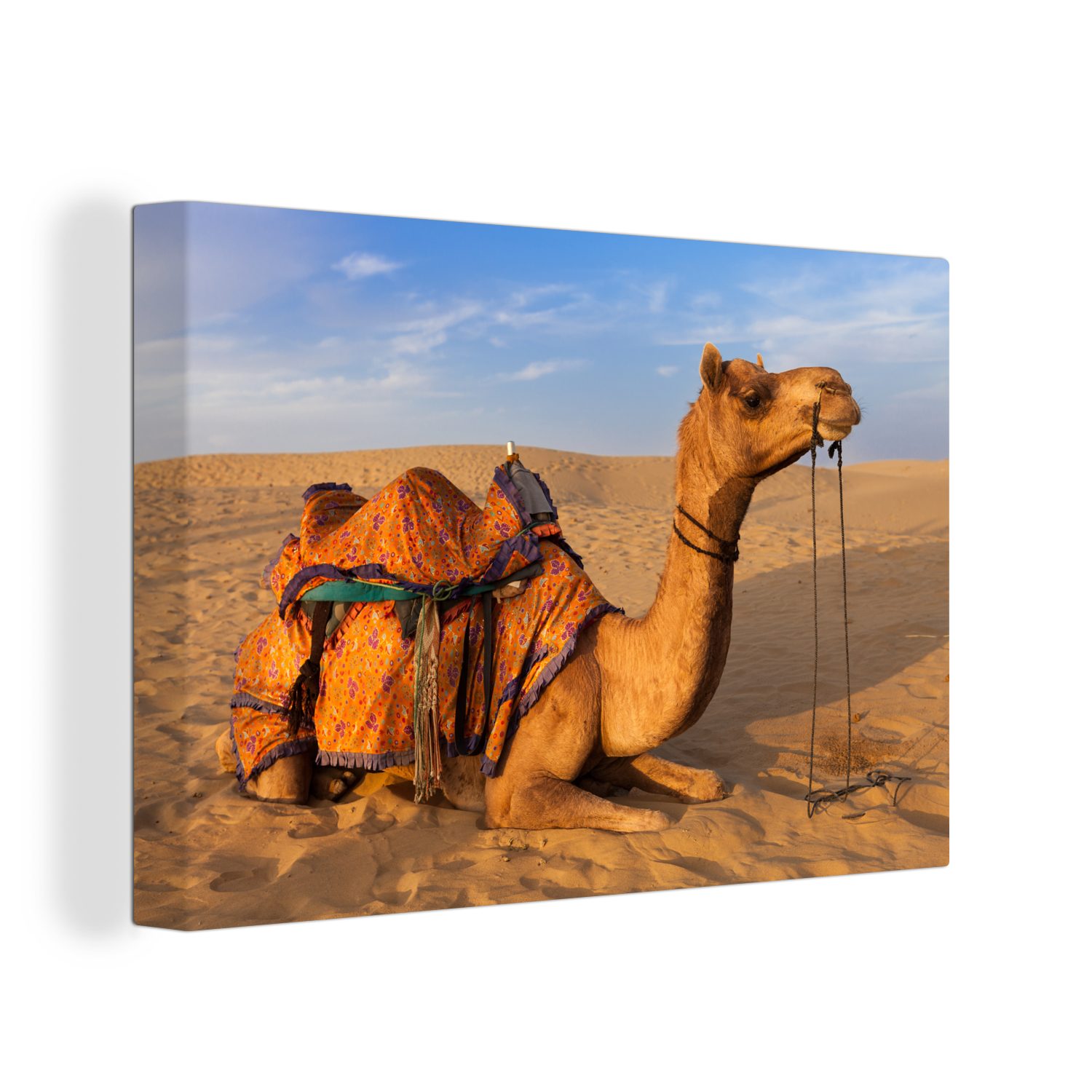 OneMillionCanvasses® Leinwandbild Dromedar-Kamel in den Sanddünen, (1 St), Wandbild Leinwandbilder, Aufhängefertig, Wanddeko, 30x20 cm | Leinwandbilder