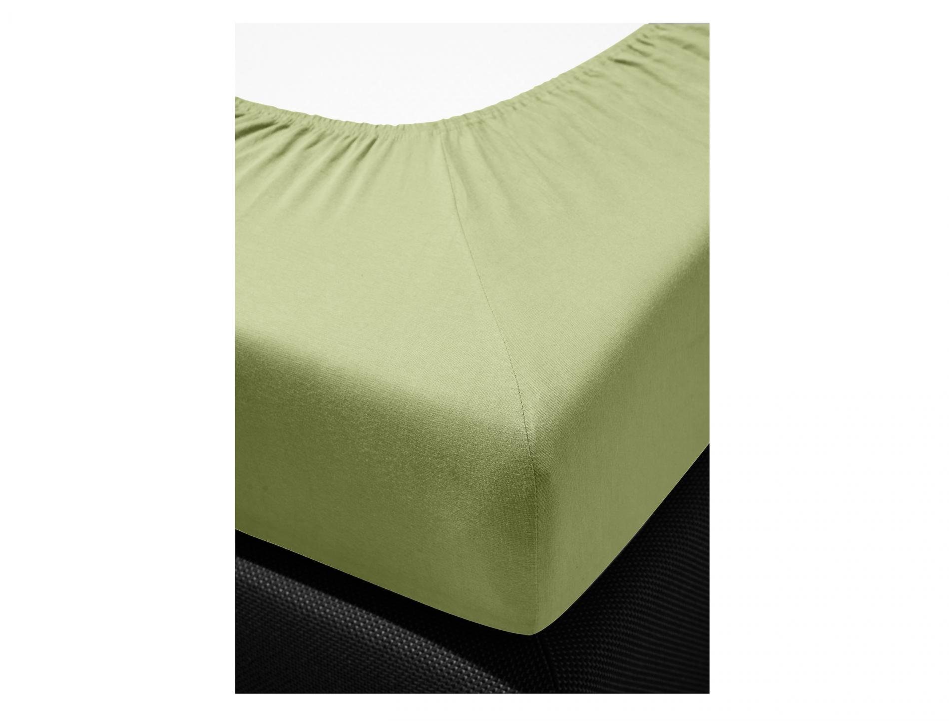 Irisette Spannbettlaken Mako-Jersey Spannbetttuch Jupiter 0008 150 x 200 cm lind, Baumwolle, Gummizug: Rundum, (1 Stück), Bettlaken mit Gummizug 90x200 140x200 180x200 Spannbettlaken Spanner