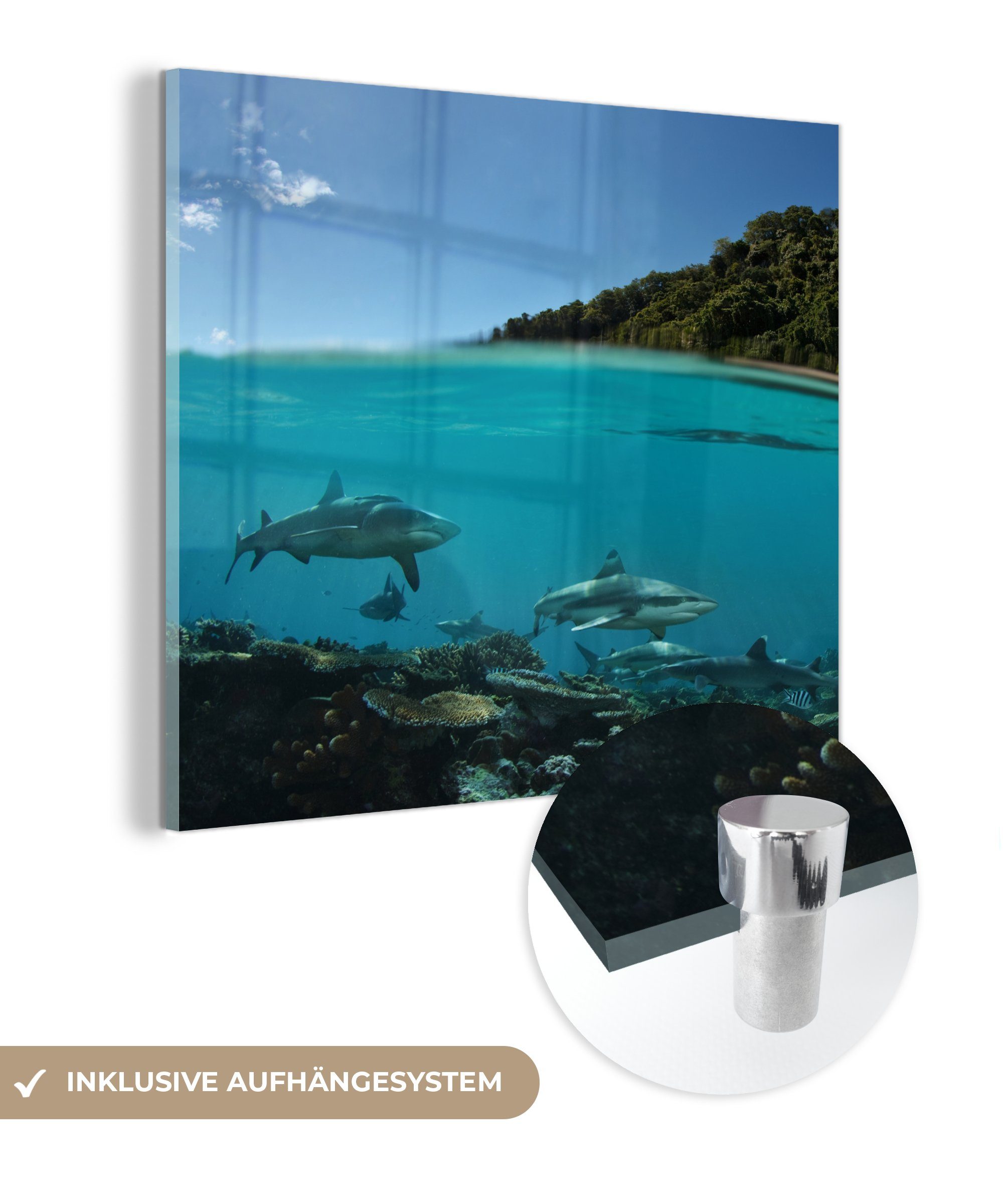 MuchoWow Acrylglasbild Korallen - Haie - Meer, (1 St), Glasbilder - Bilder auf Glas Wandbild - Foto auf Glas - Wanddekoration bunt