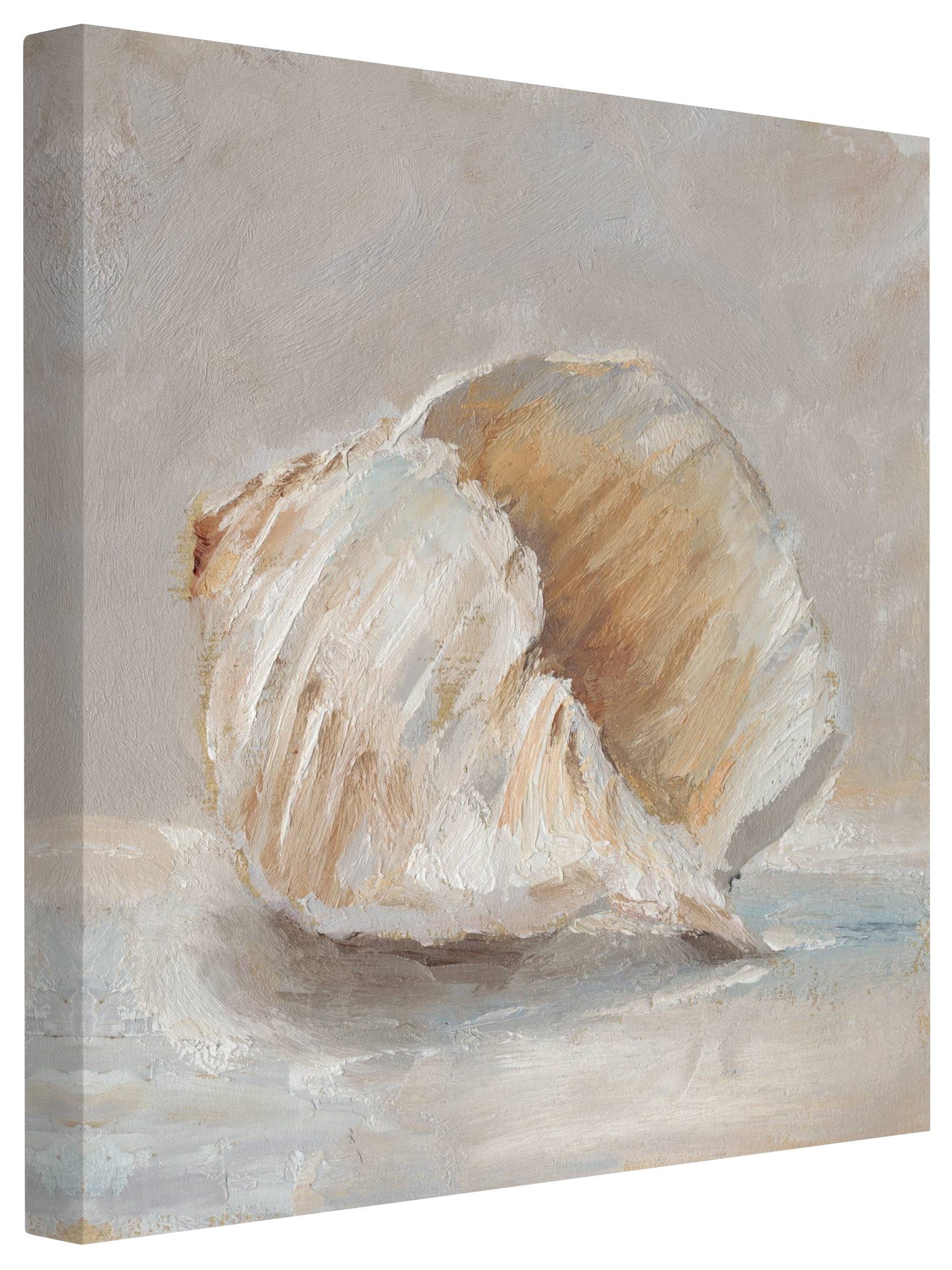 Bilderdepot24 Leinwandbild Meer Maritim Strand Muschel-Studie günstig online kaufen