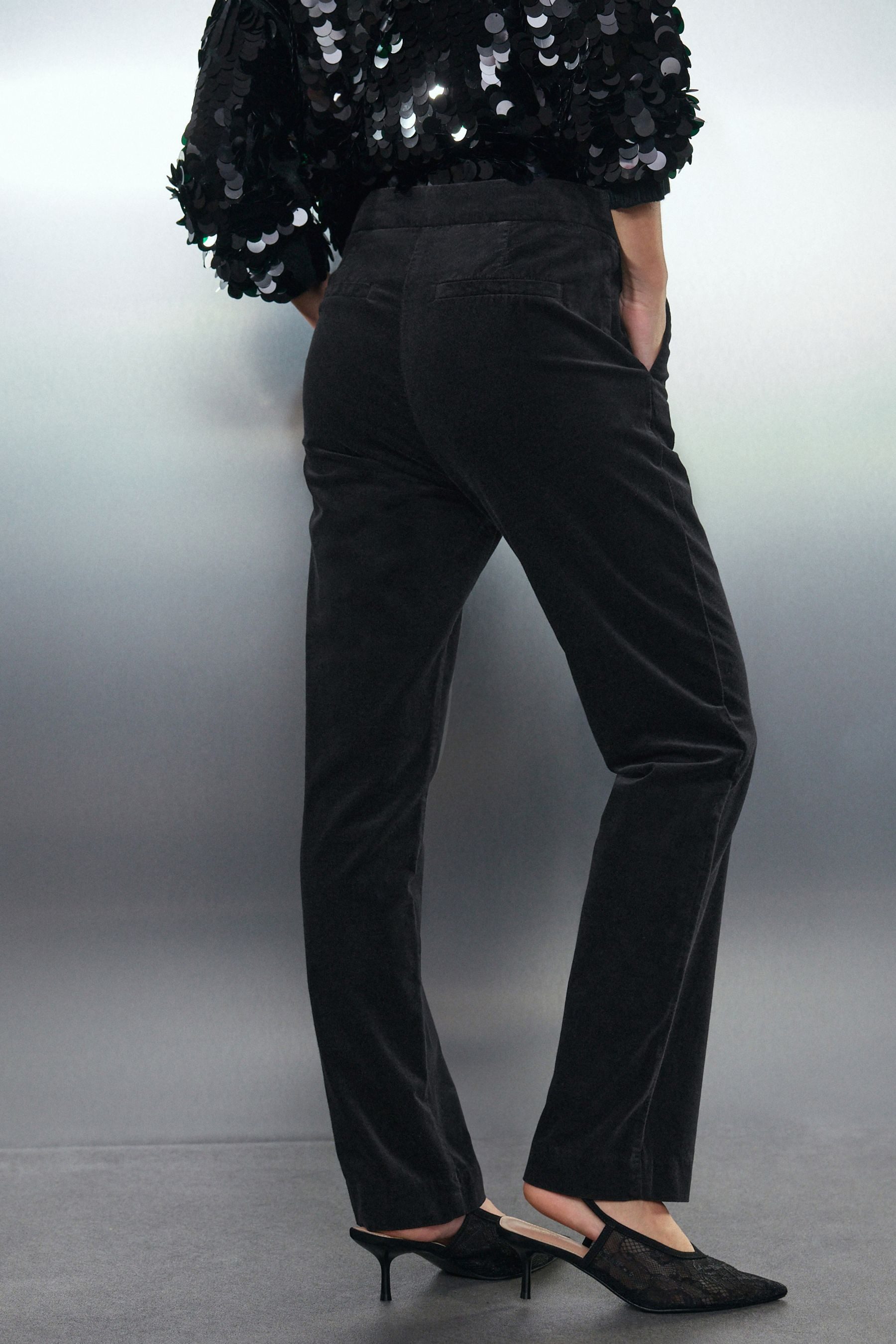 Next Samthose Samthose mit geradem Bein, Kurzgröße (1-tlg) günstig online kaufen