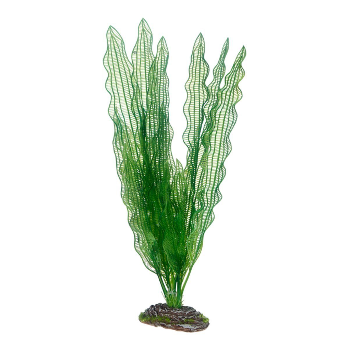 HOBBY Aquariendeko Aponogeton 39 cm - künstliche Aquariumpflanze