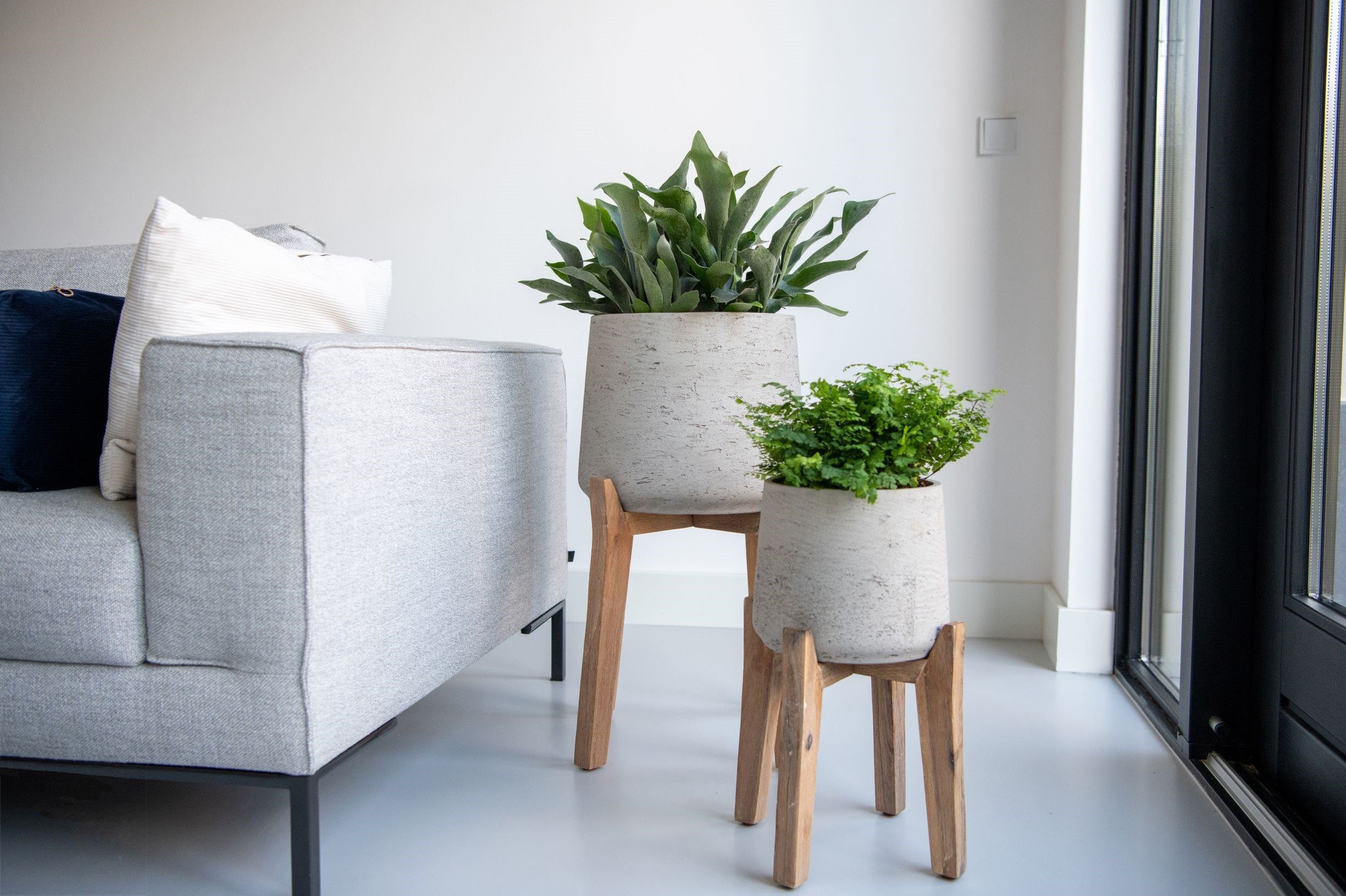 finestgreen Pflanzkübel Patt Feet High günstig online kaufen