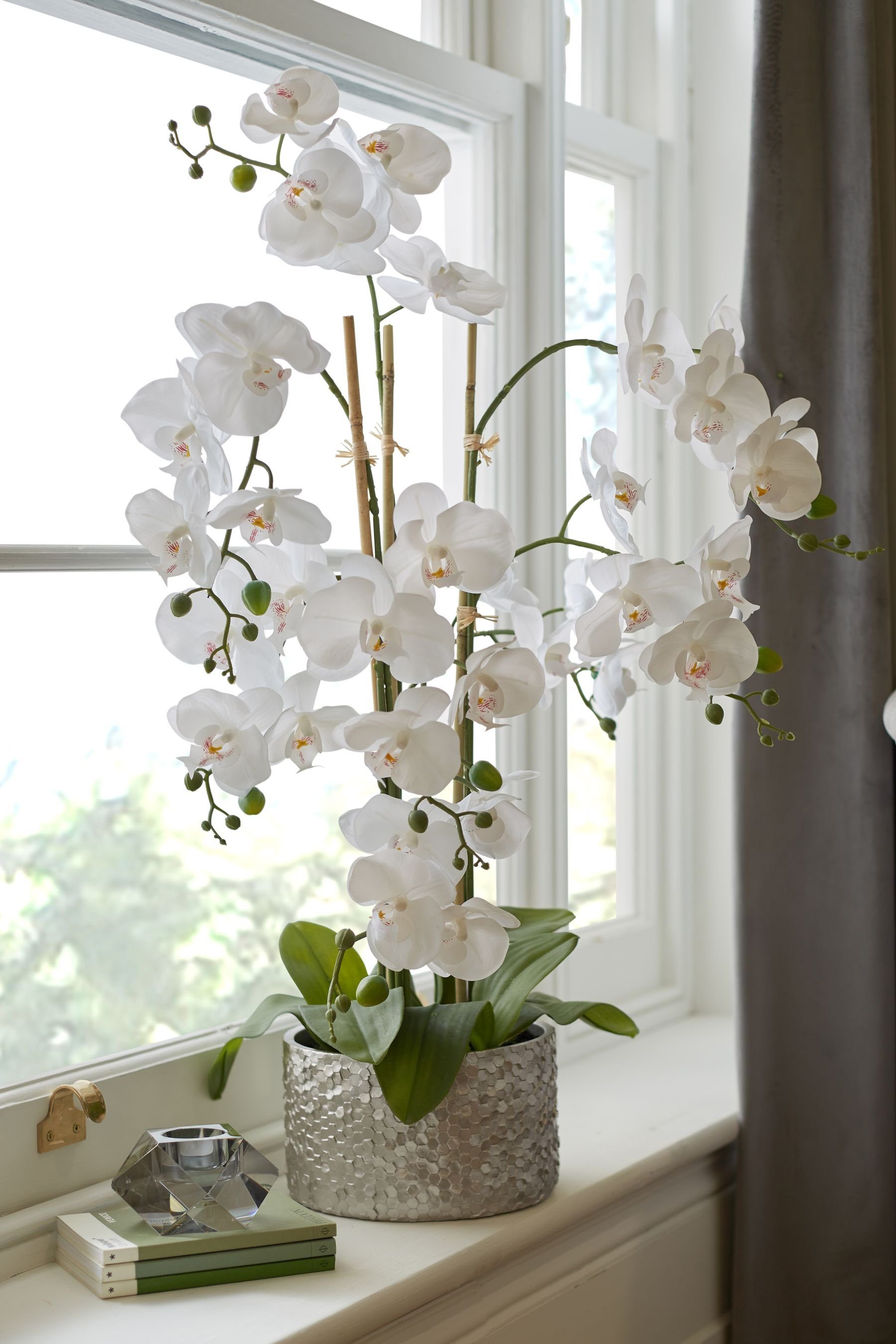 Kunstorchidee Große künstliche Orchidee in silberfarbenem Topf, Next