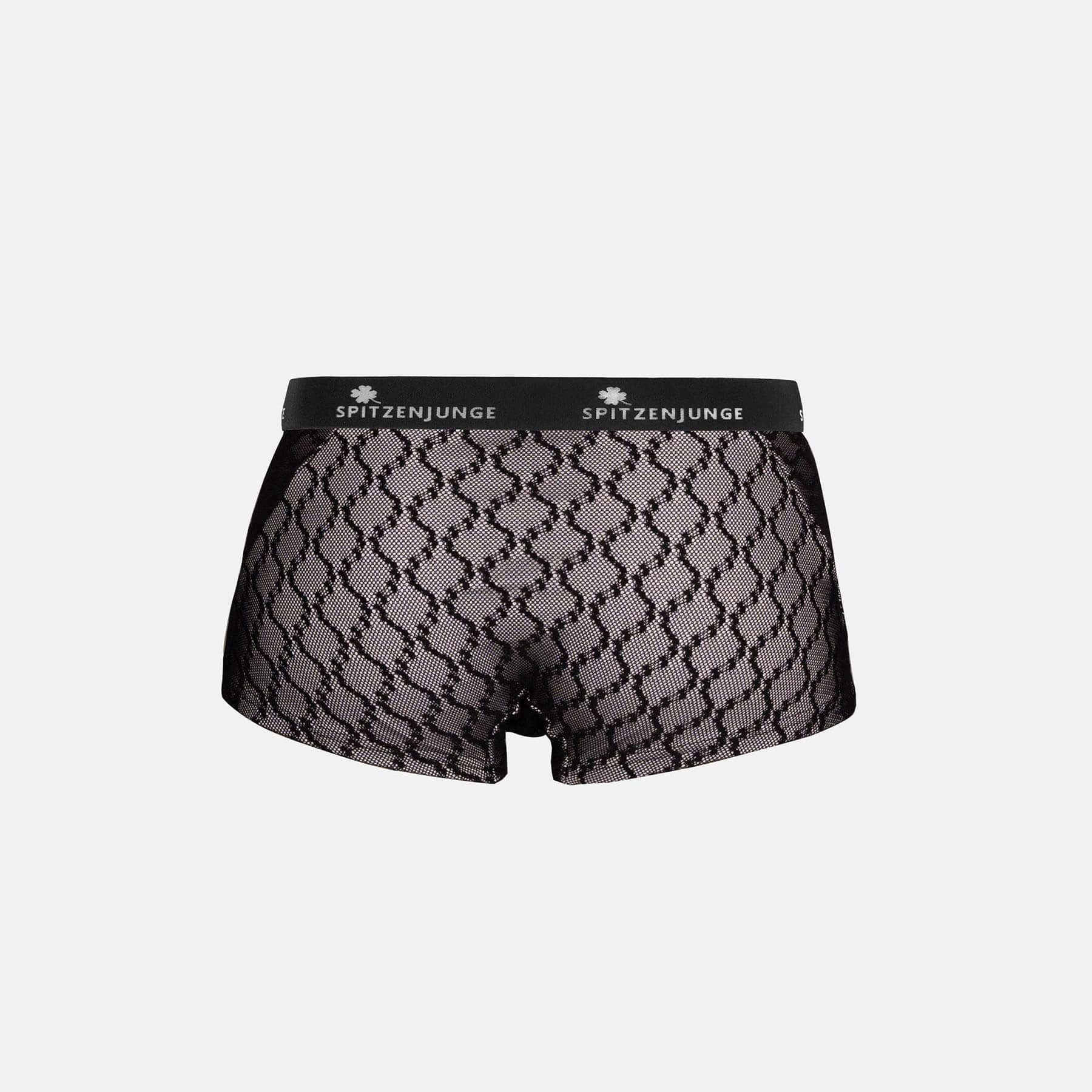 SPITZENJUNGE Boxer Teramo