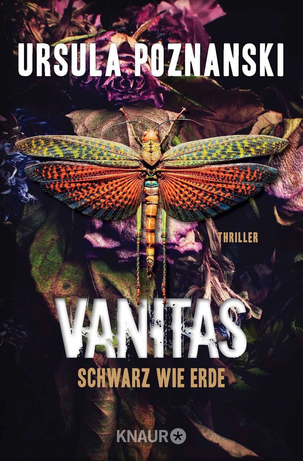 Vanitas - Schwarz wie Erde / Ursula Poznanski