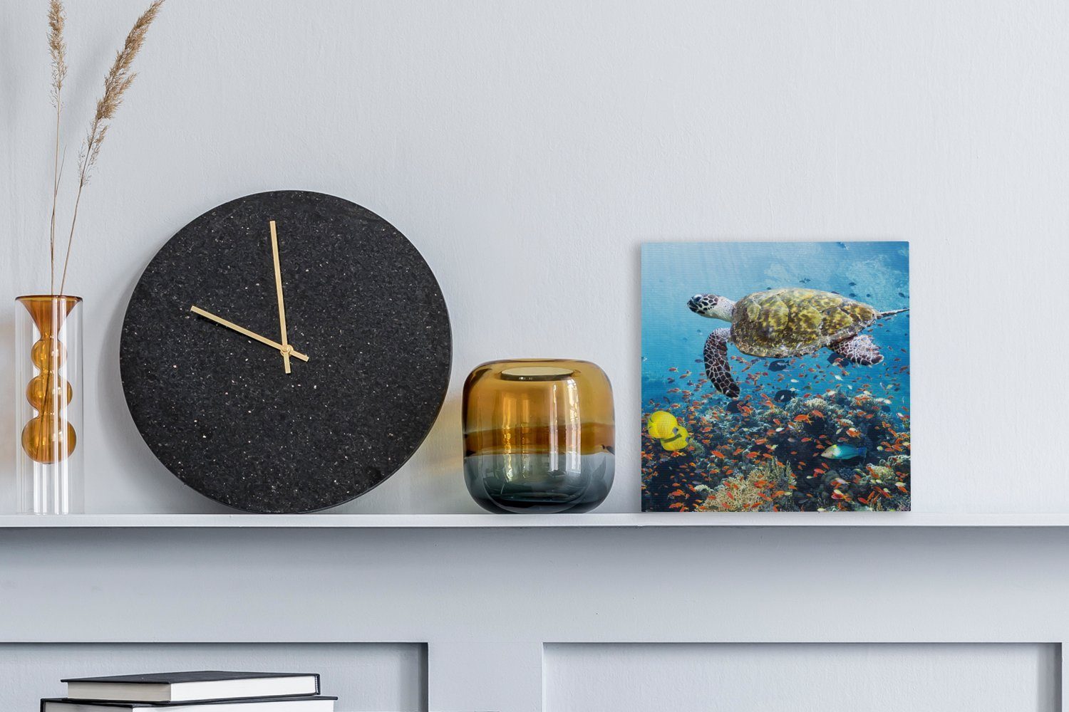 OneMillionCanvasses® Leinwandbild Schildkröte am Korallenriff, Fotodruck günstig online kaufen
