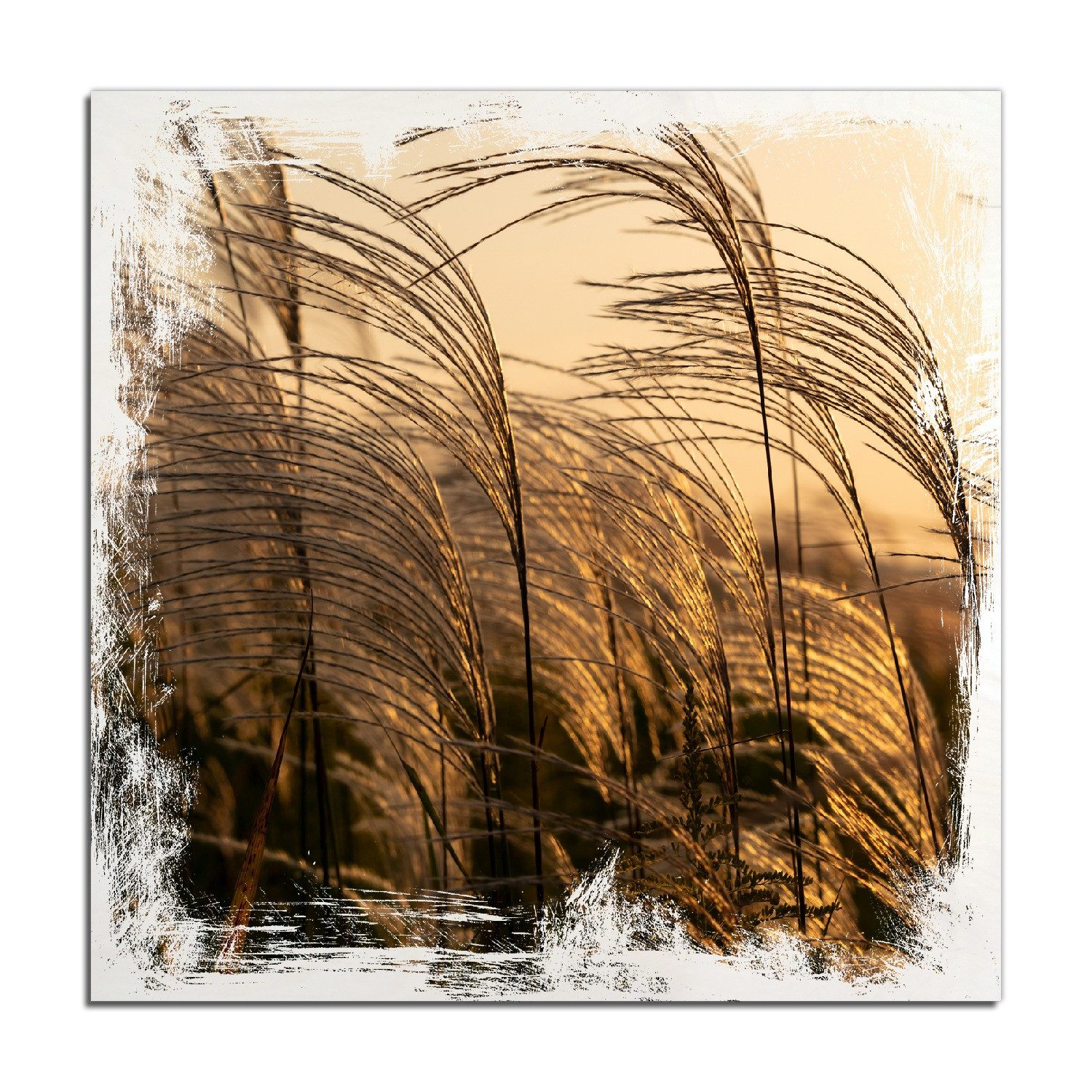 Wallario Holzbild, Schilf im Wind, in verschiedenen Ausführungen