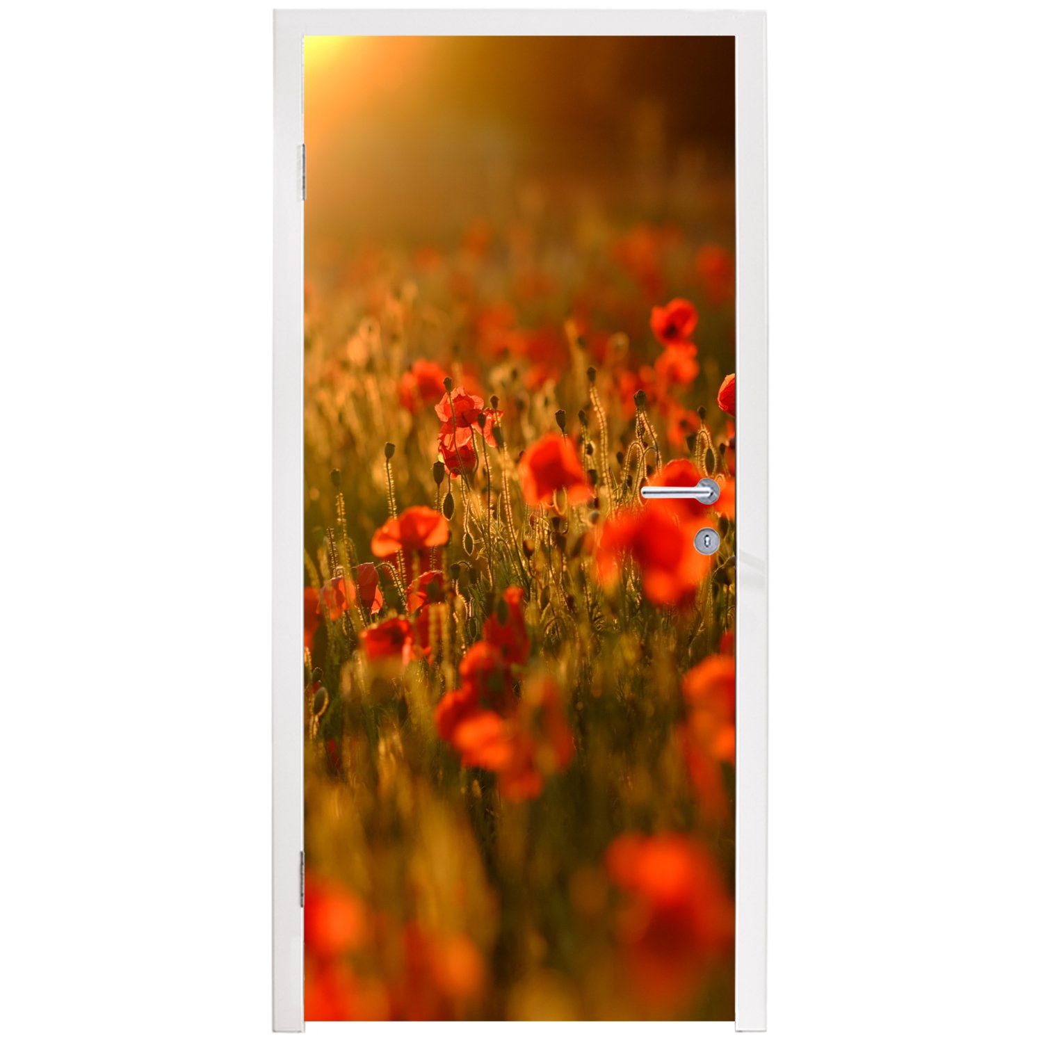 Tür, Mohnblumen bedruckt, auf cm für dem Matt, Feld, MuchoWow St), 75x205 Orangefarbenes Türaufkleber, den Leuchten (1 über Türtapete Fototapete