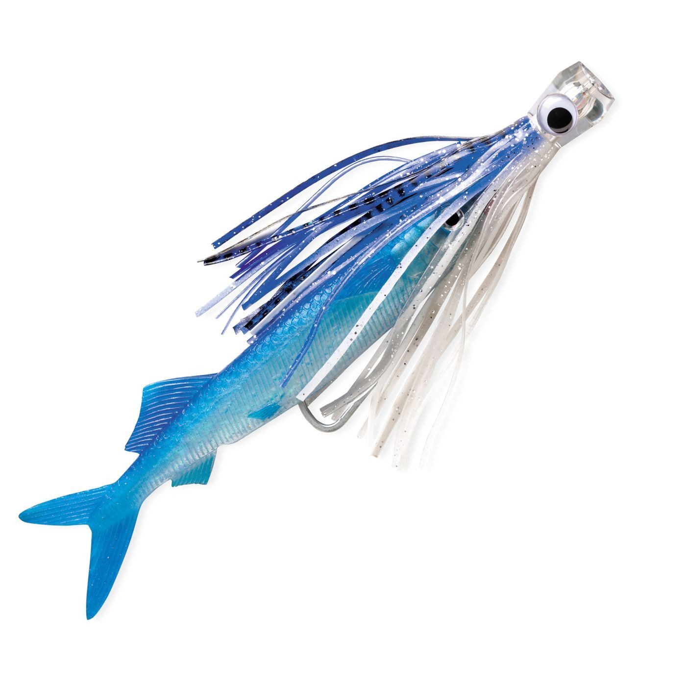 Bonito/ Blue