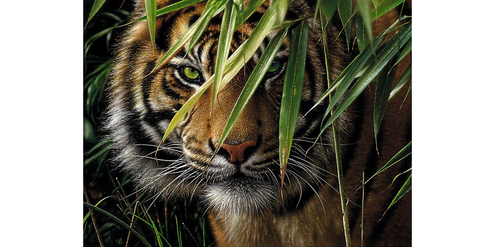 MAMMUT Spiel und Geschenk Malvorlage Tiger, 30 cm lang