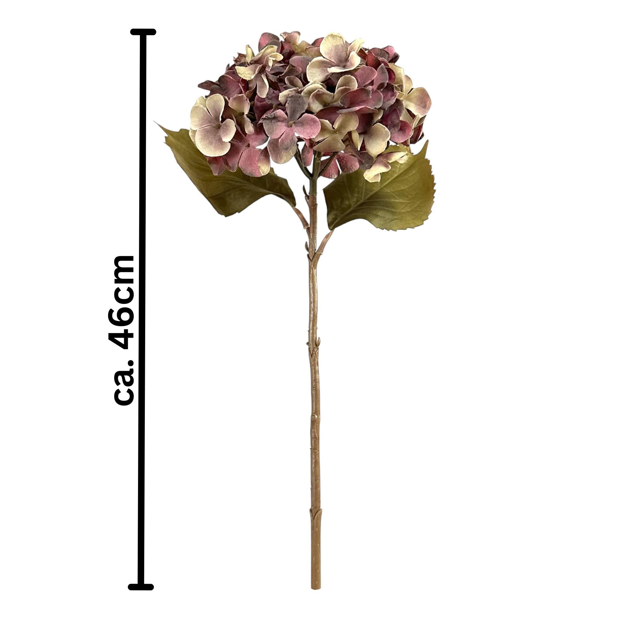 Kunstblume Kunstblume HORTENSIE 46cm. In Trockenblumenoptik. Aubergine Lila günstig online kaufen