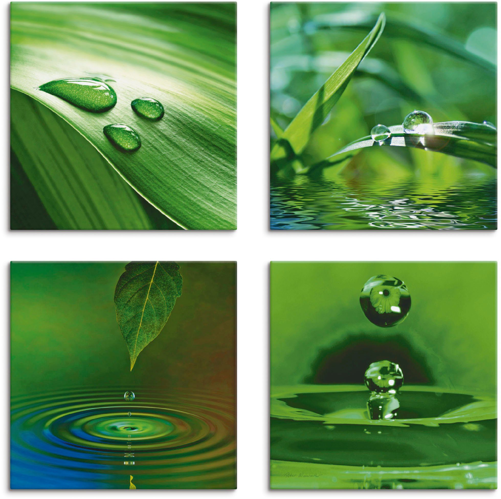 Artland Leinwandbild Blatt Gras Wassertropfen, Zen günstig online kaufen