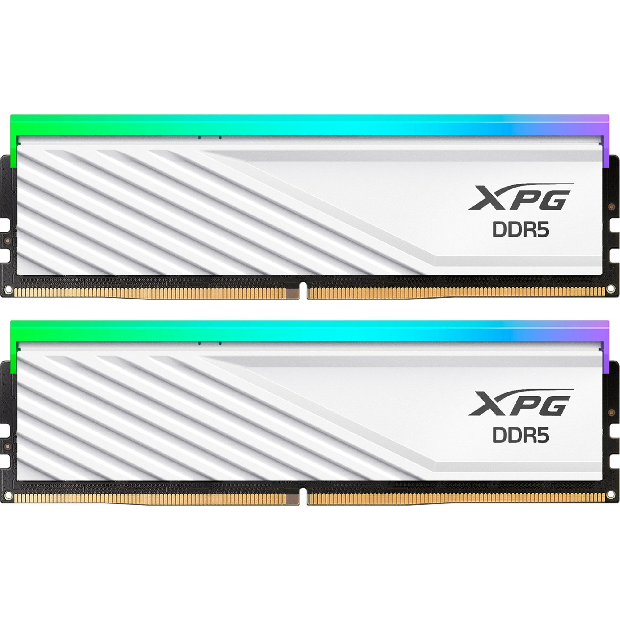 ADATA DIMM 16 GB DDR5-5600 (2x 8 GB) Dual-Kit, Arbeitsspeicher