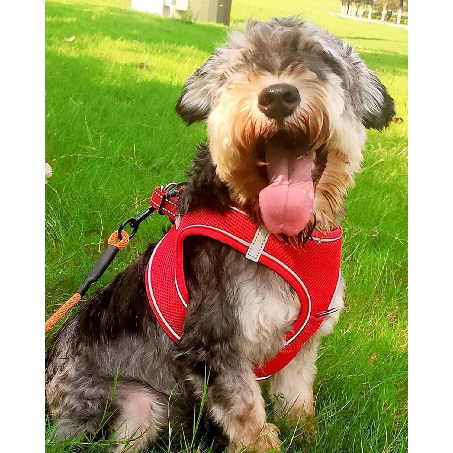 LuxusKollektion Hunde-Geschirr Hundegeschirr Brustgeschirr Reflektierend AirMesh L-Brust:47-55cm Rot
