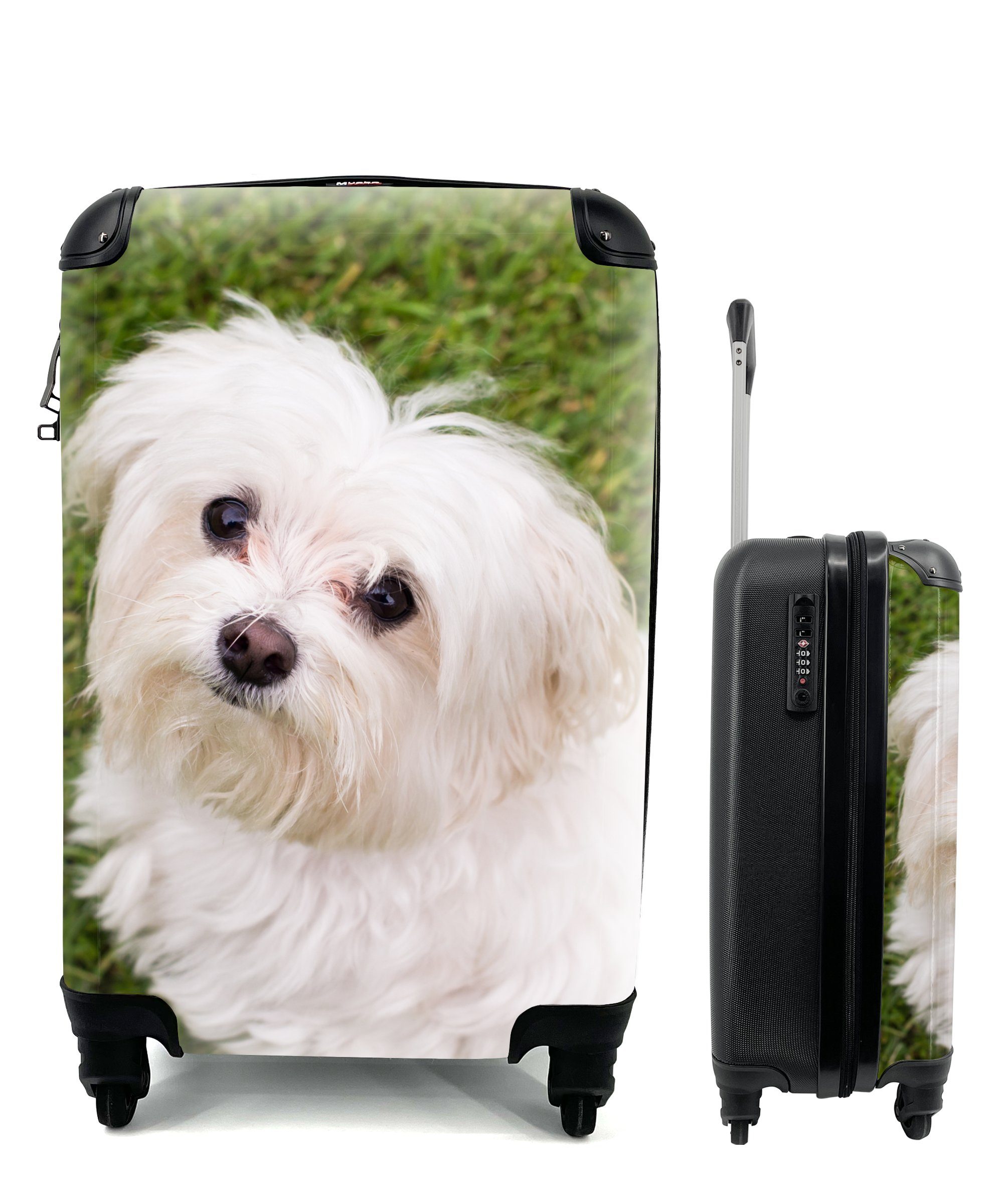 MuchoWow Handgepäckkoffer Handgepäck Trolley, Rollen, Reisetasche 4 rollen, schaut für mit Reisekoffer Ferien, Malteserhund auf