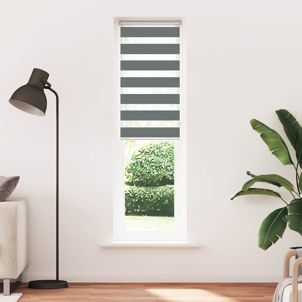 Rollo Doppelrollo Dunkelgrau 60x230 cm Stoffbreite 55,9 cm Polyester, vidaX günstig online kaufen